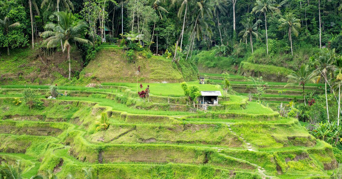 Les meilleures pratiques pour un tourisme durable
