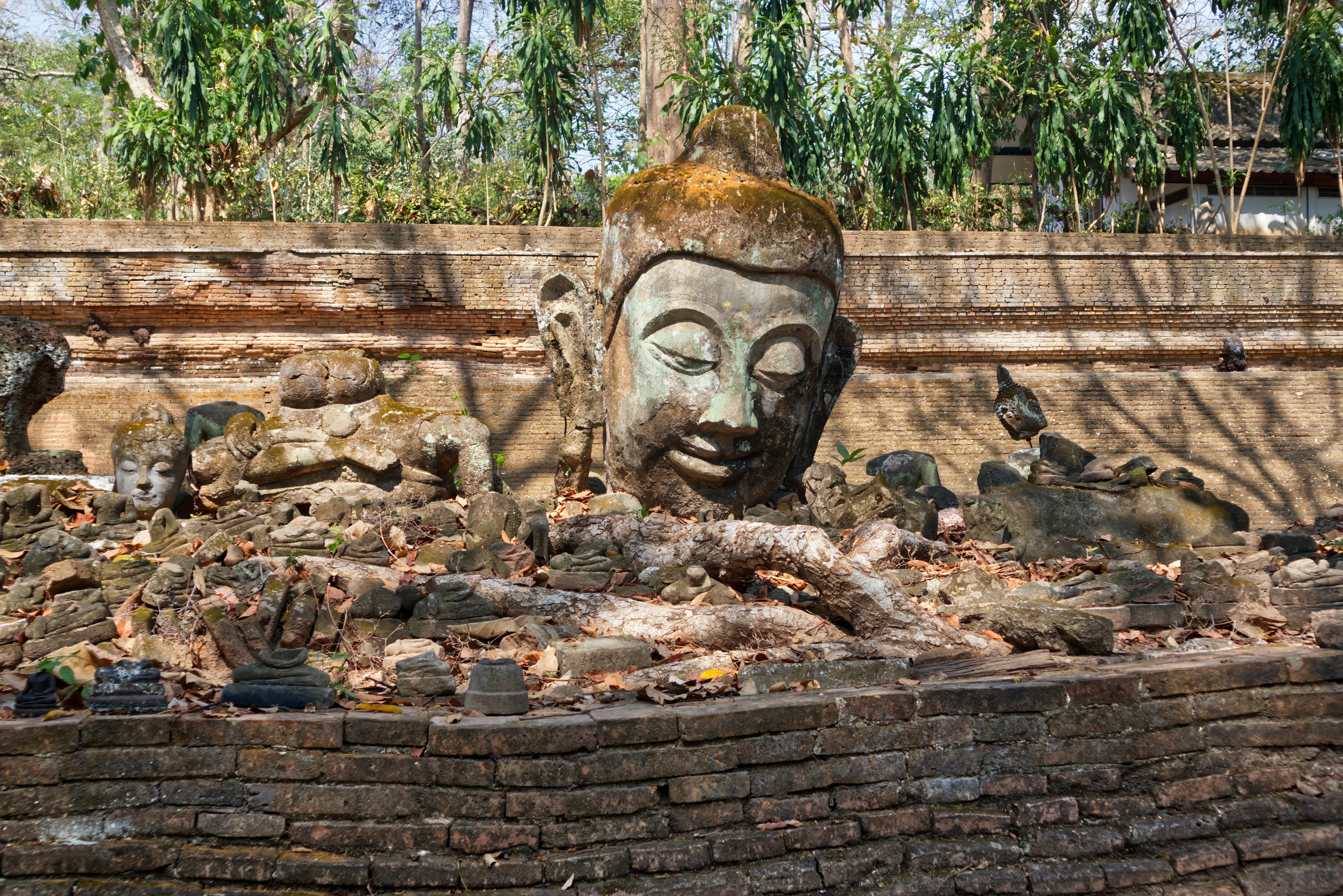A serene Buddha head amidst ancient bricks and ruins in Chiang Mai, Thailand.