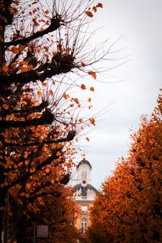 Scenic autumn view of Karlsruhe with vibrant orange leaves framing historical architecture.