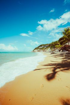 Serene tropical beach with golden sands and turquoise waters in Curuípe, Bahia, Brazil.
