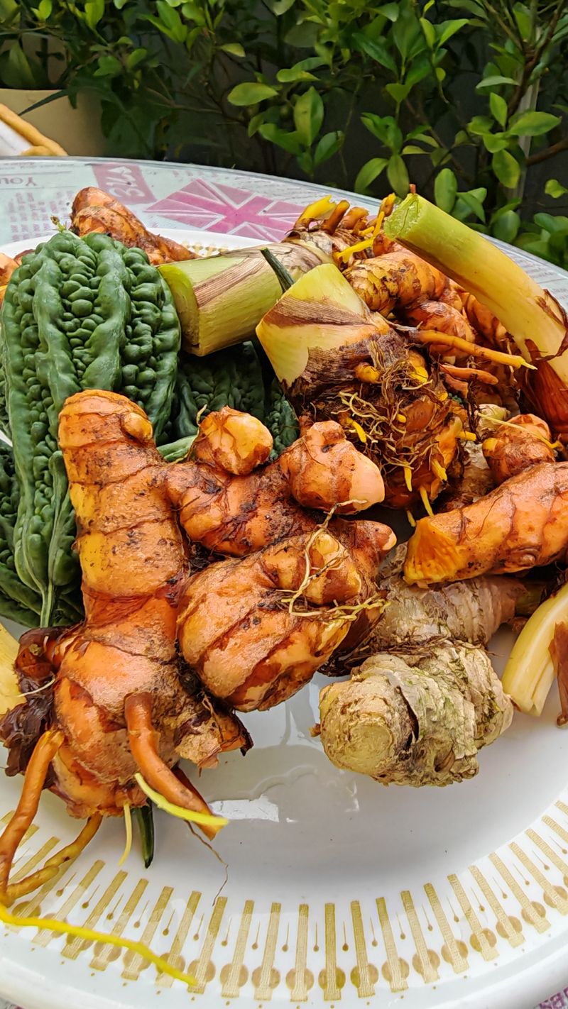 Finger Root — Temu Kunci