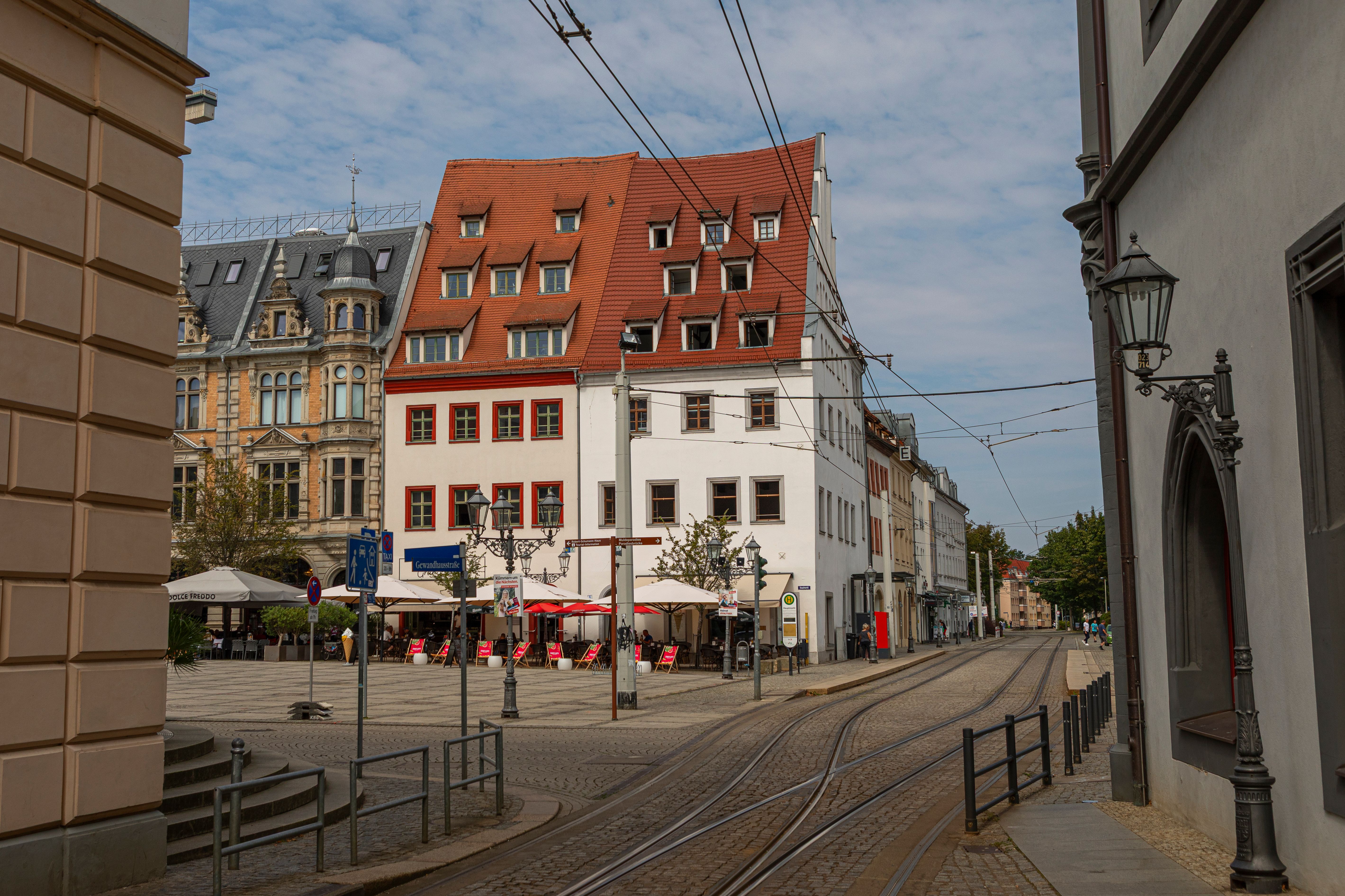 Zwickau Stadtpanorama
