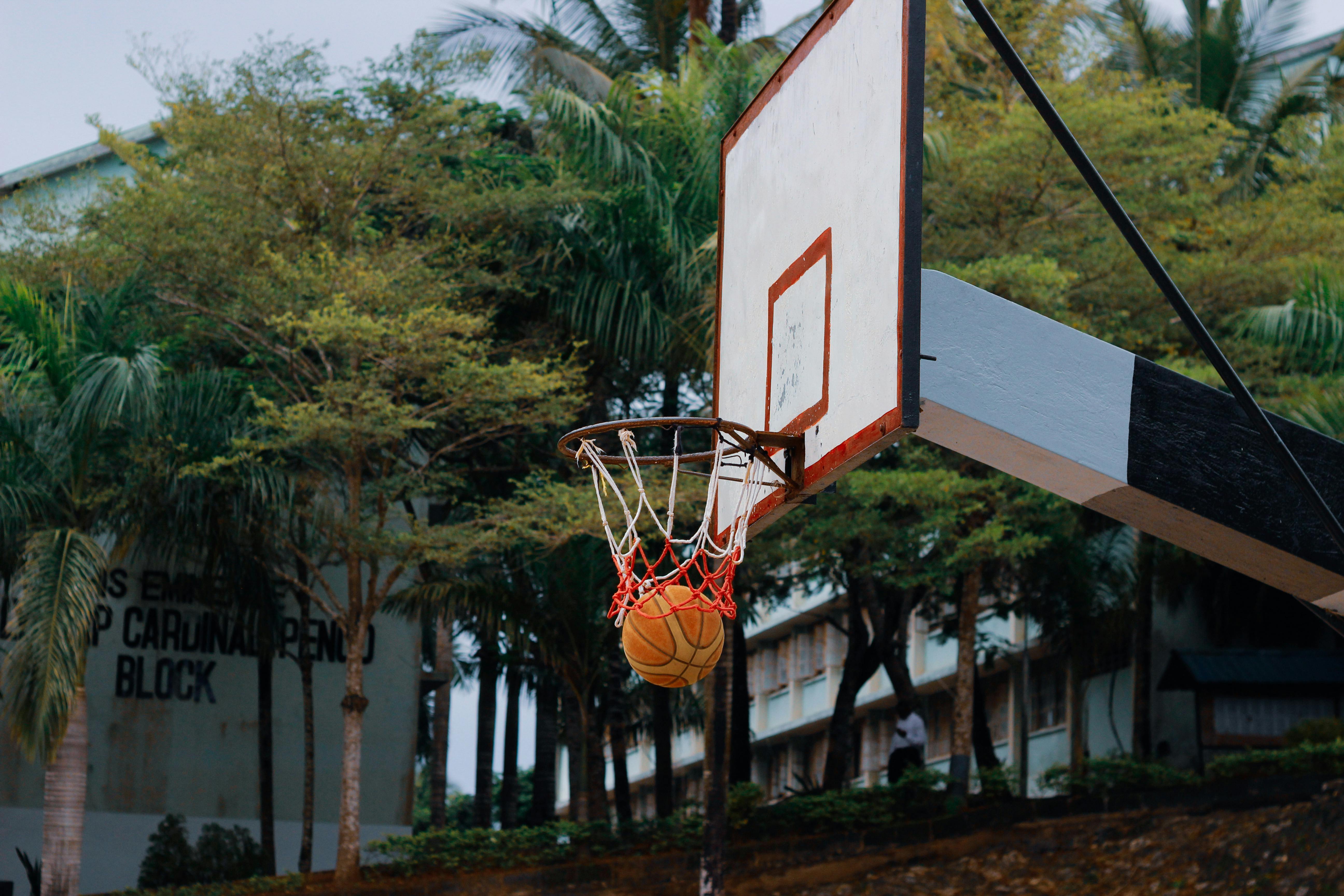 Easiest Sport to Bet On in 2026: A Guide