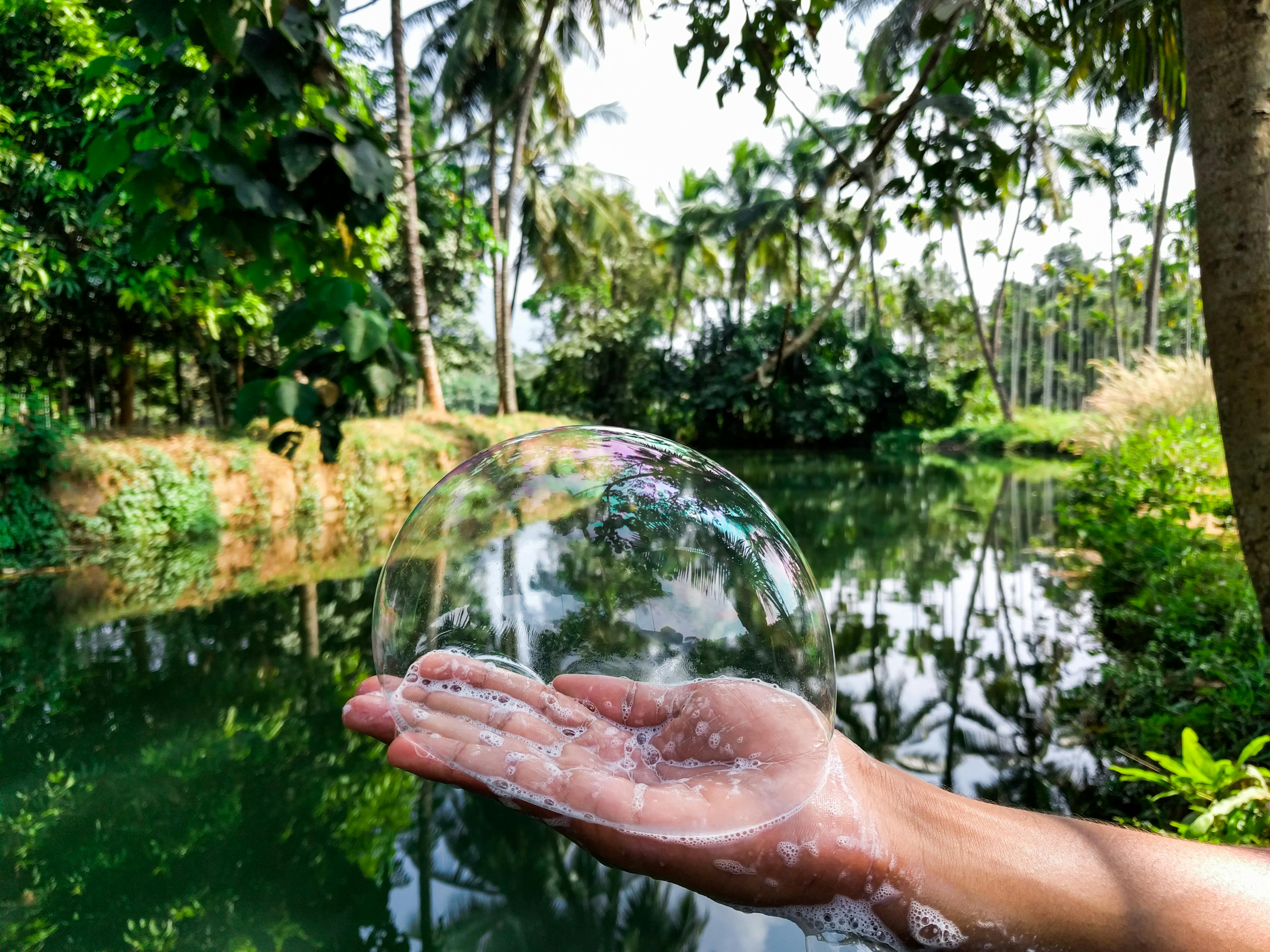 USDA Launches Lender Lens Dashboard to Promote Data Transparency — Photo by Aneesh Thazhathethil on Pexels