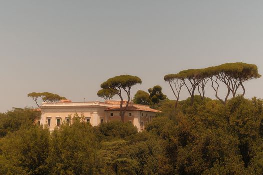 Charming villa surrounded by pine trees in a Mediterranean environment, evoking classic Italian architecture.
