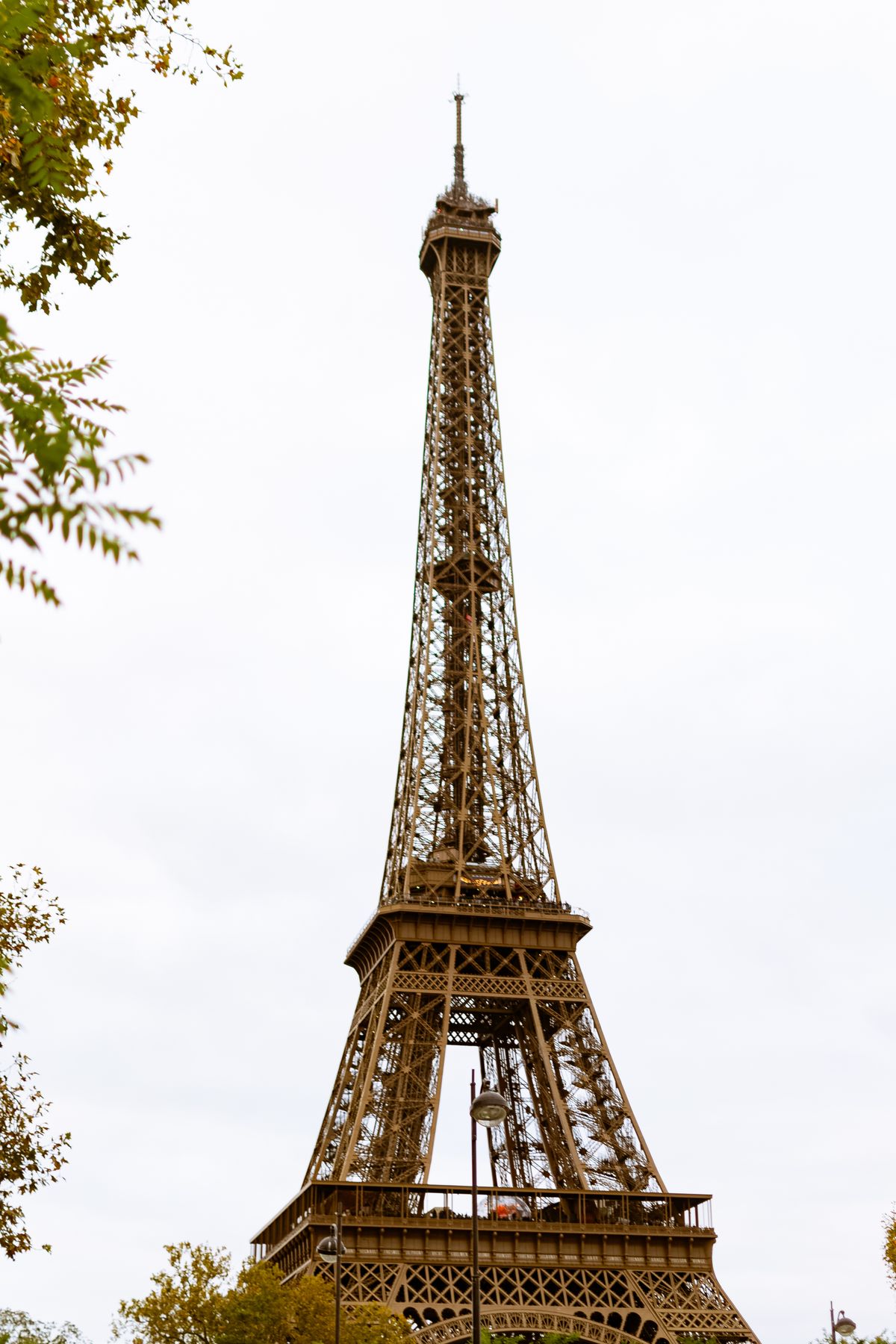 A Torre Eiffel erguendo-se sobre Paris emoldurada por árvores