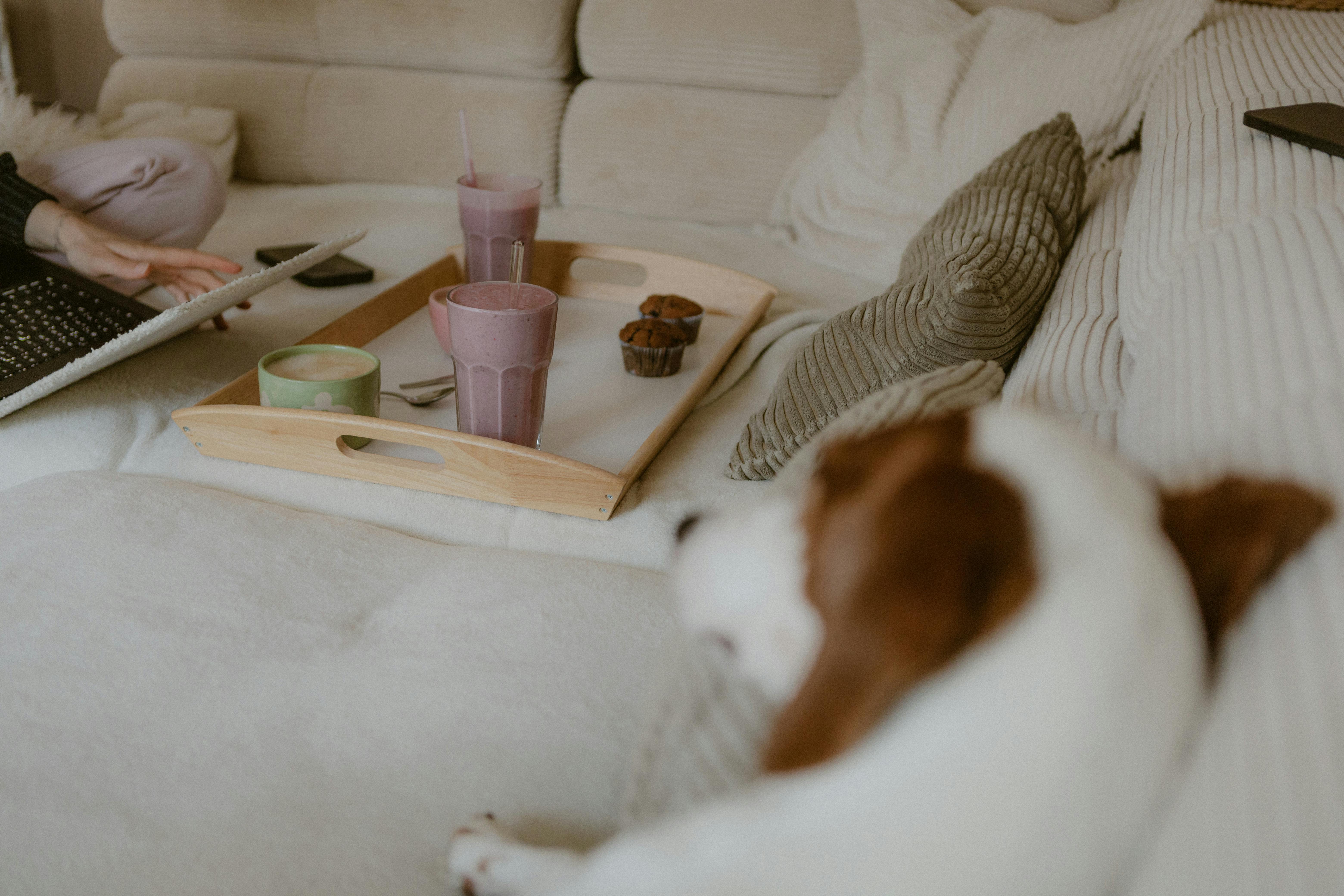 pet technology brain — Photo by Andreas Ebner on Pexels
