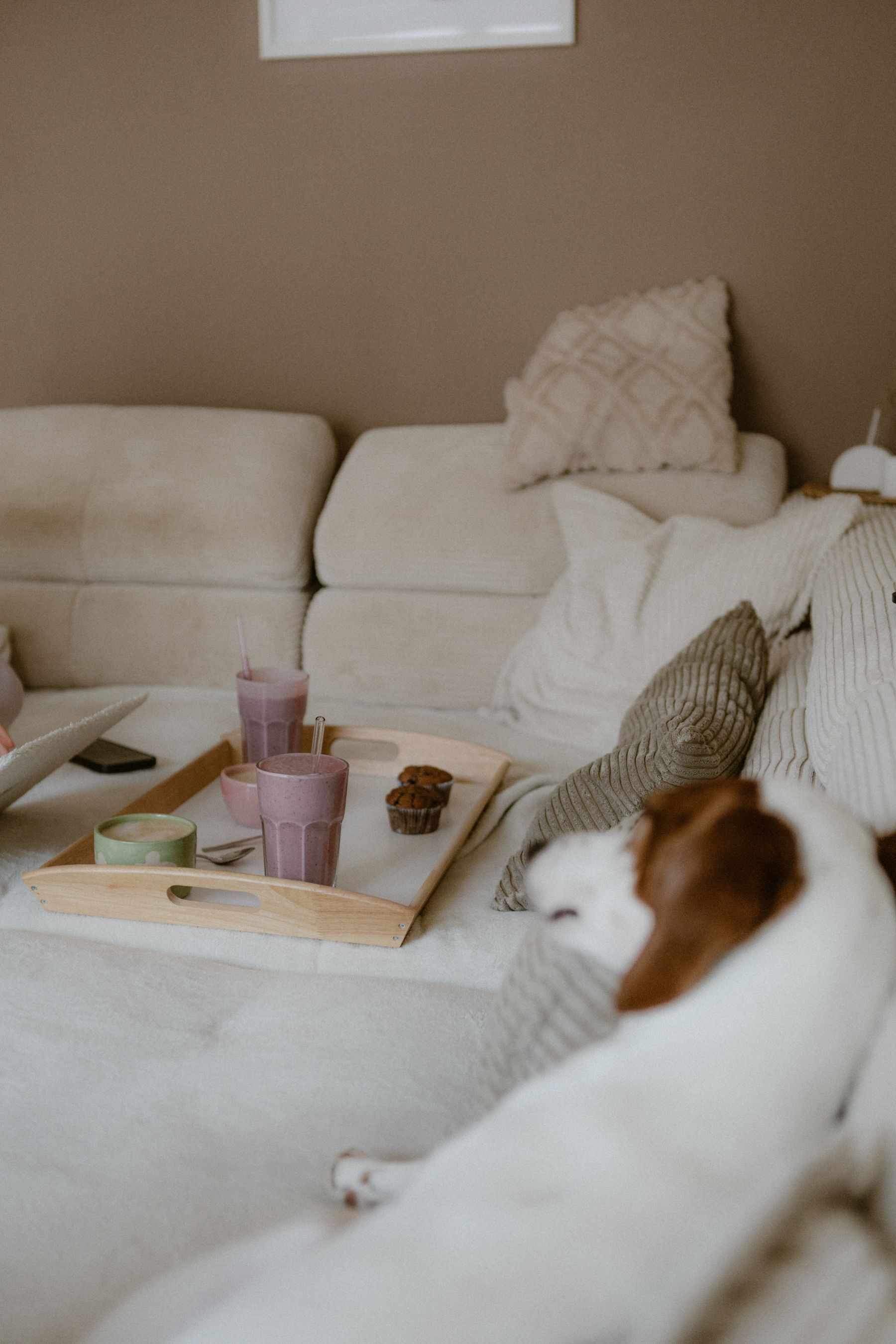 Dog relaxing on light sofa beside a tray of everyday objects