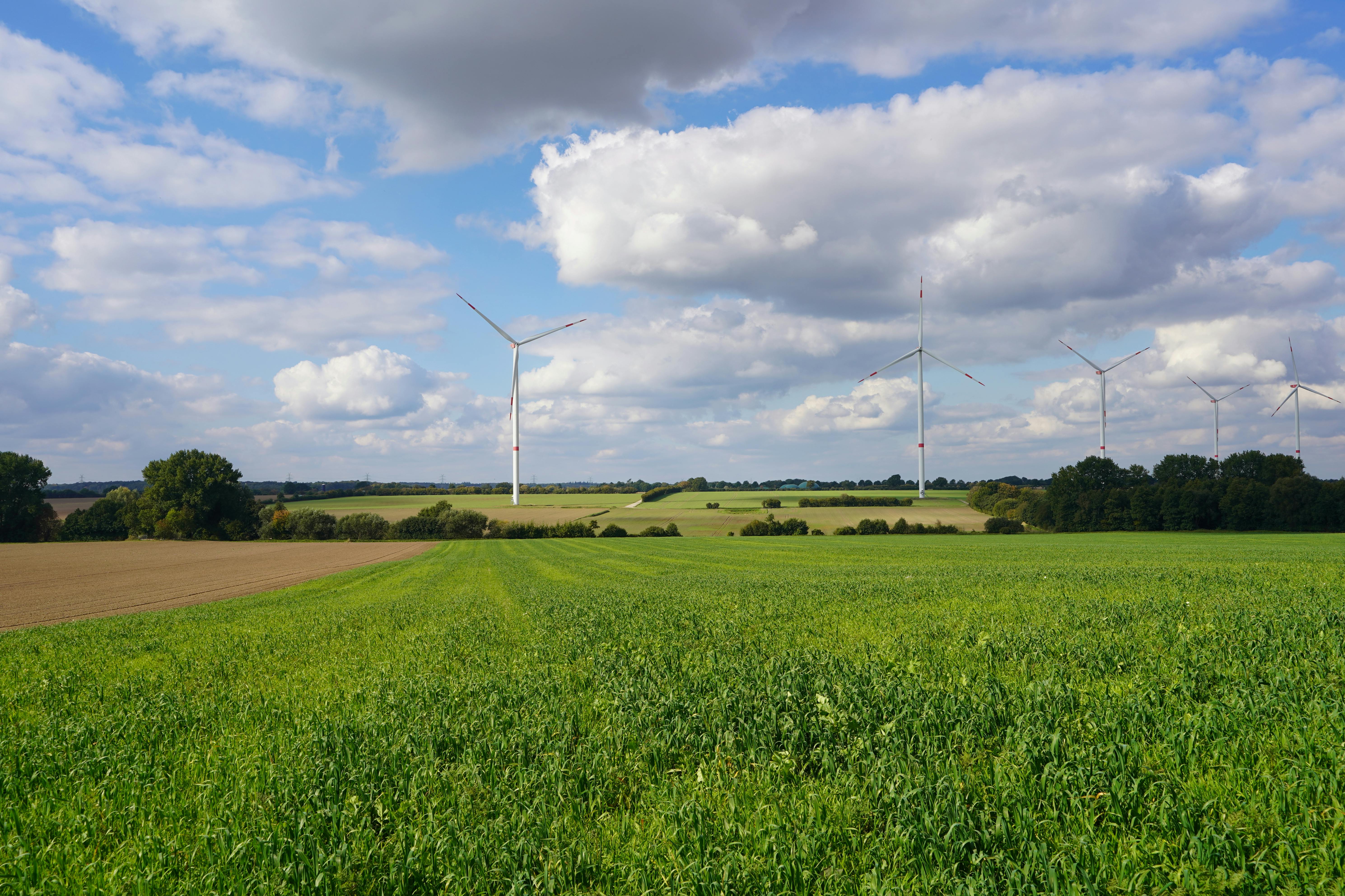 is green energy sustainable a green and sustainable life — Photo by Wolfgang Weiser on Pexels