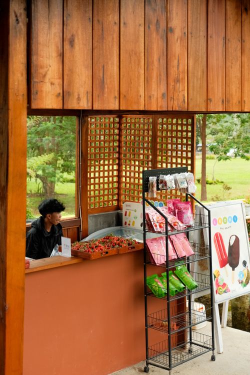 Free A vendor stands by a snack booth in a park setting featuring assorted packaged goods. Stock Photo