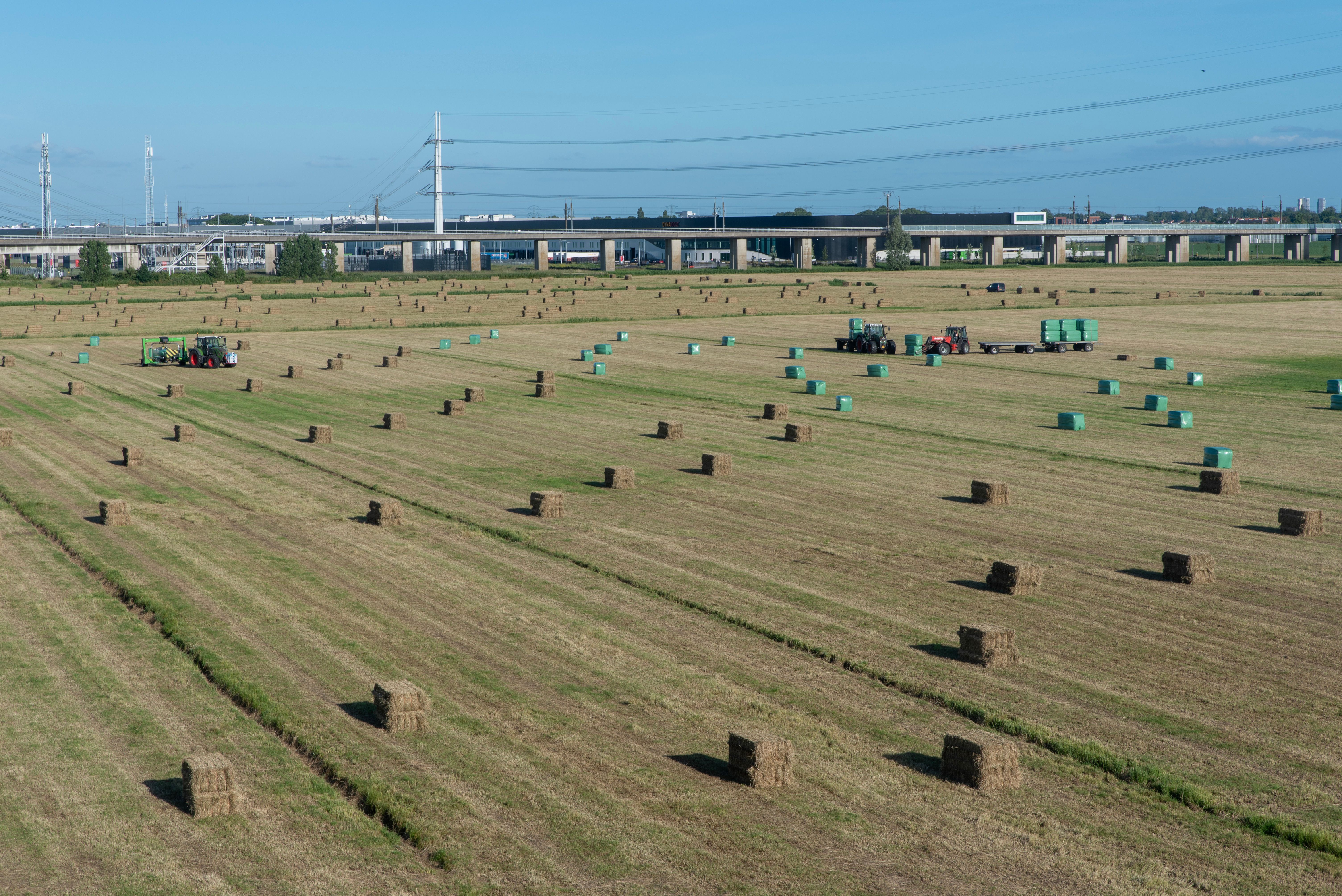 Panoramic View of Hay Field with Bales and Tractors · Free Stock Photo