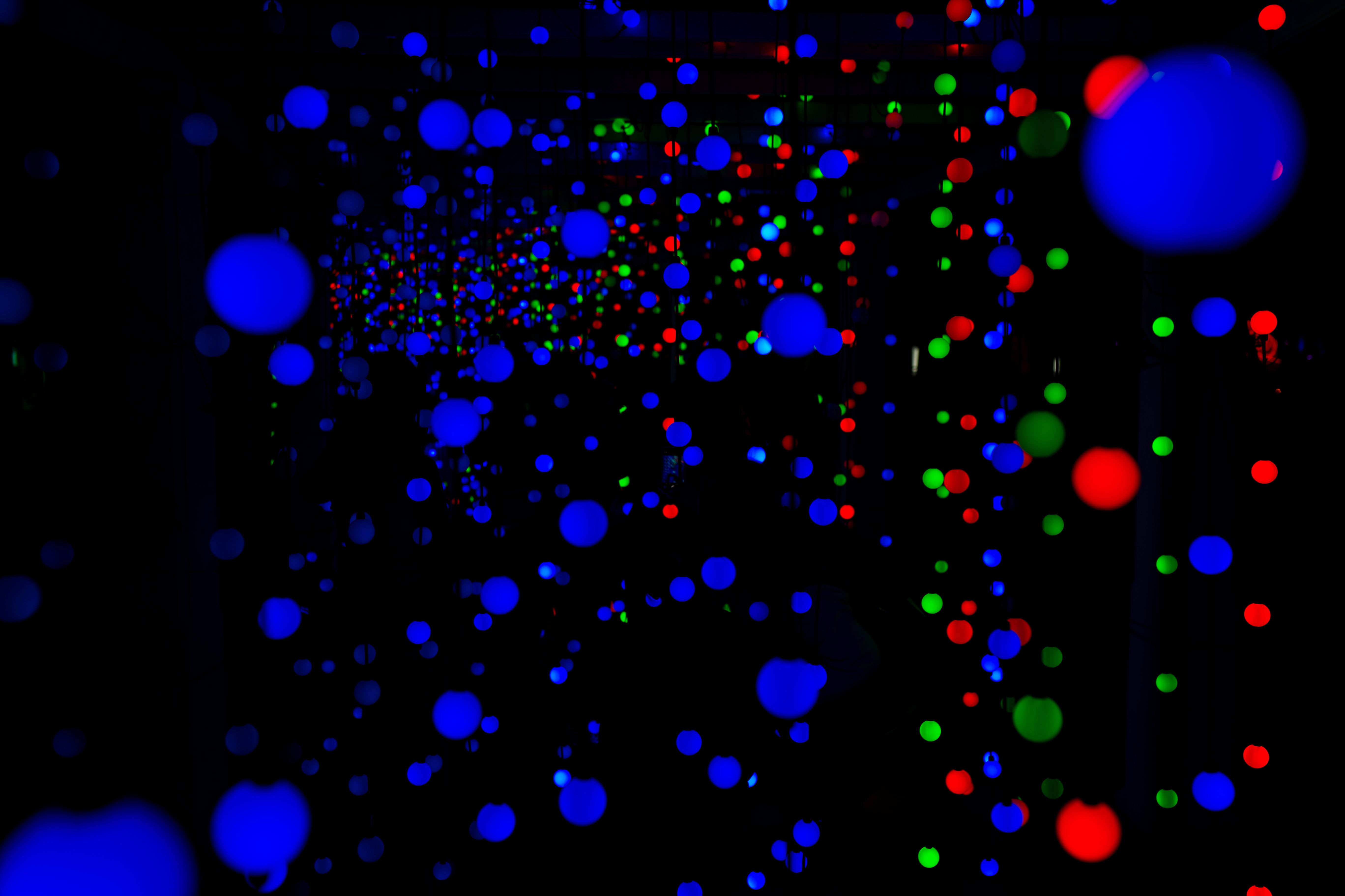 How Immersive Digital Art Exhibitions Are Redefining the Gallery Experience: A Case Study