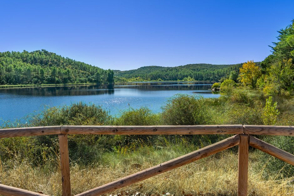 Tranquil scene of Ruidera Lakes with lush greenery and clear blue water under a bright sky.
