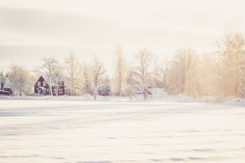 Free Serene snow-covered landscape featuring a red house in Sweden's winter countryside. Stock Photo