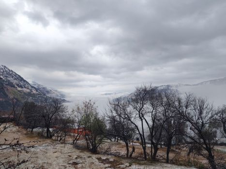 Serene view of a foggy mountain landscape with bare trees in early winter, captured outdoors.
