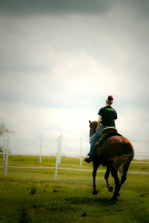 草の芝生でバックライディングする女性の馬