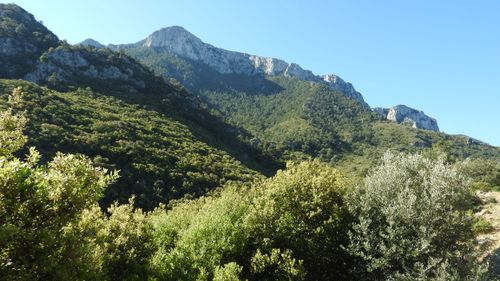 Free Breathtaking view of lush green mountains with clear blue sky in the background, perfect for nature lovers. Stock Photo