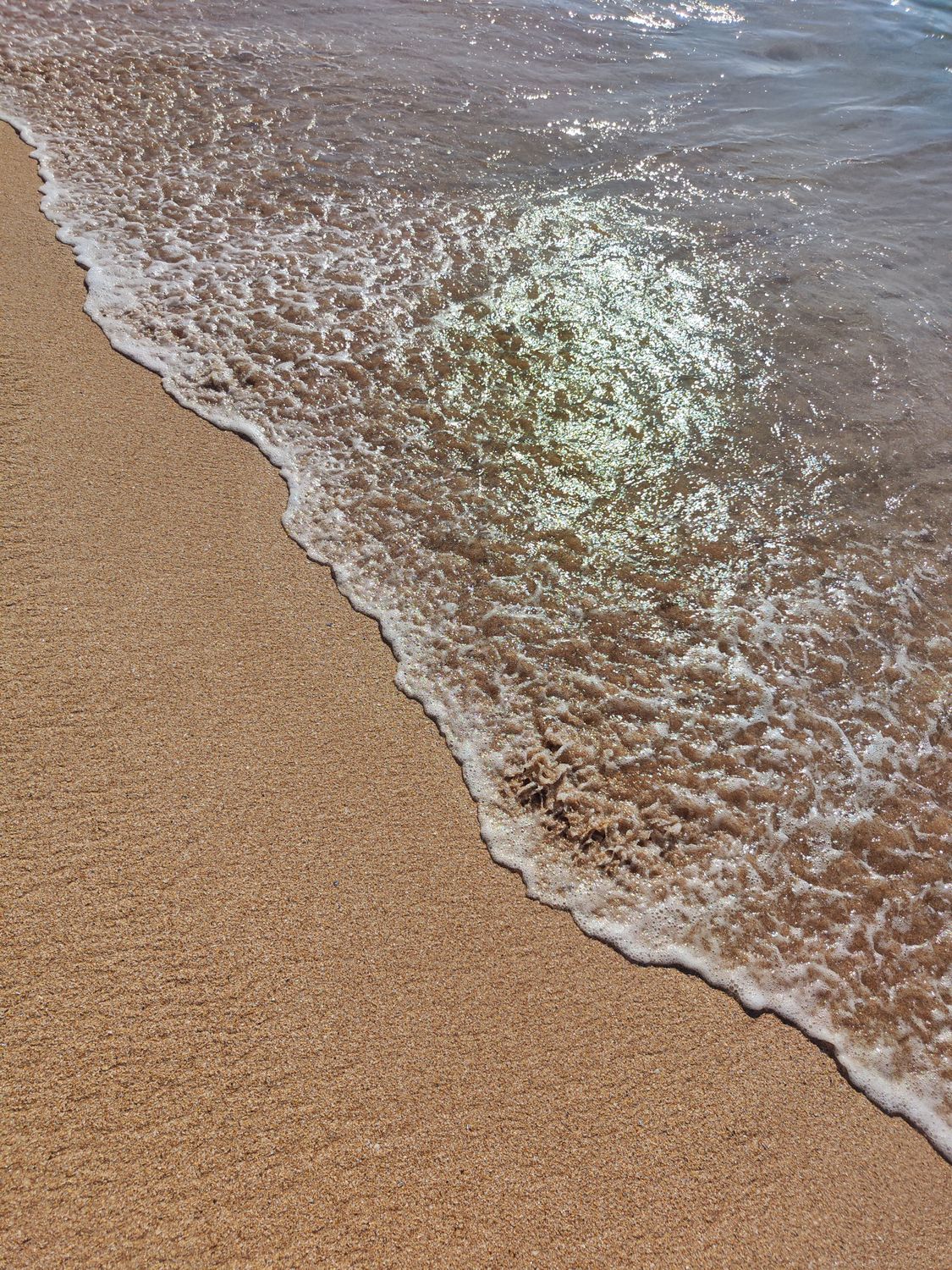 Tranquil Ocean Waves on Golden Sand Beach · Free Stock Photo
