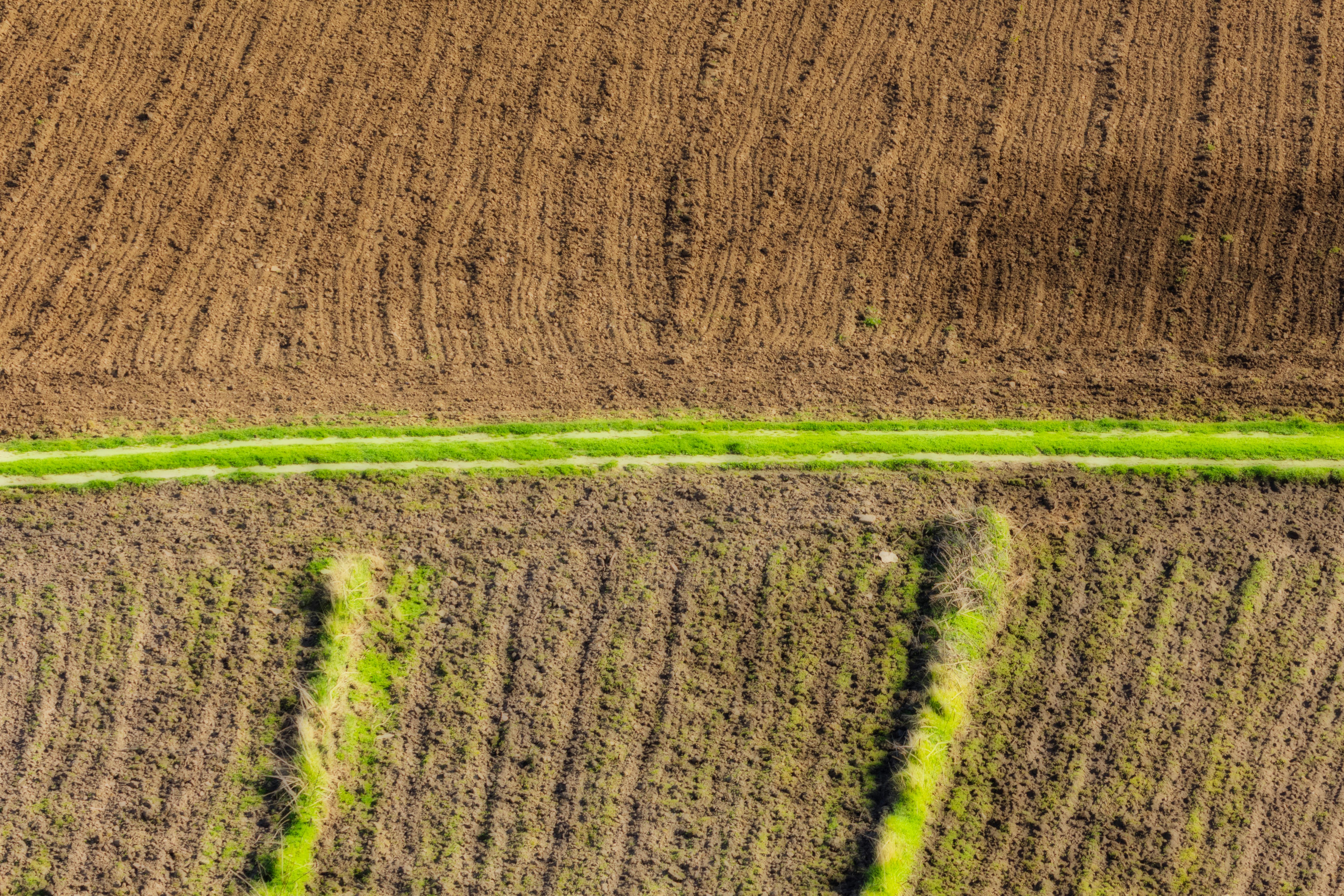 The green mile: charting the bumpy road to sustainable urban mobility — Photo by Guerrero De la Luz on Pexels
