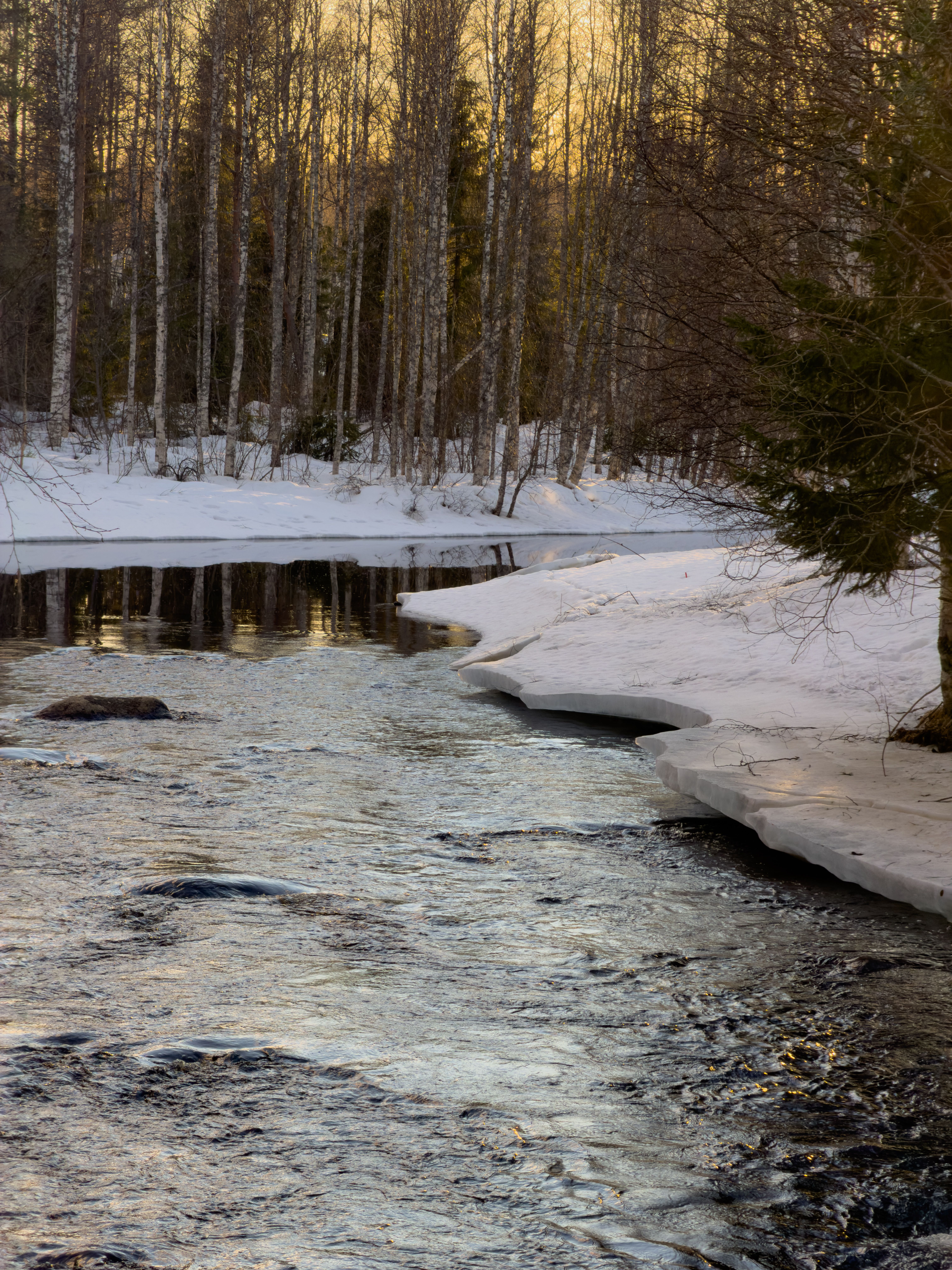 Kostenlos Eine friedliche Winterszene mit einem Bach, der in der Dämmerung durch einen verschneiten Wald fließt. Stock-Foto