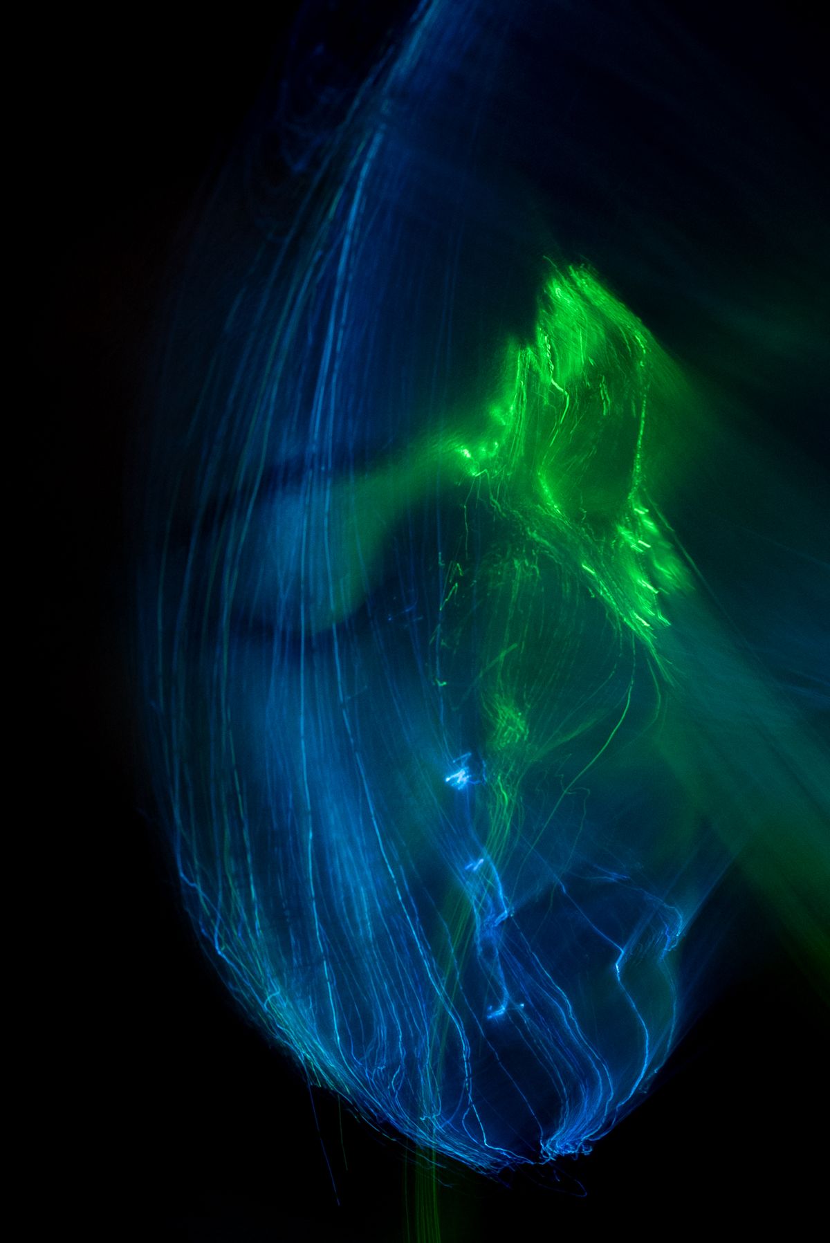 Abstract Blue Light Swirl on Black Background · Free Stock Photo