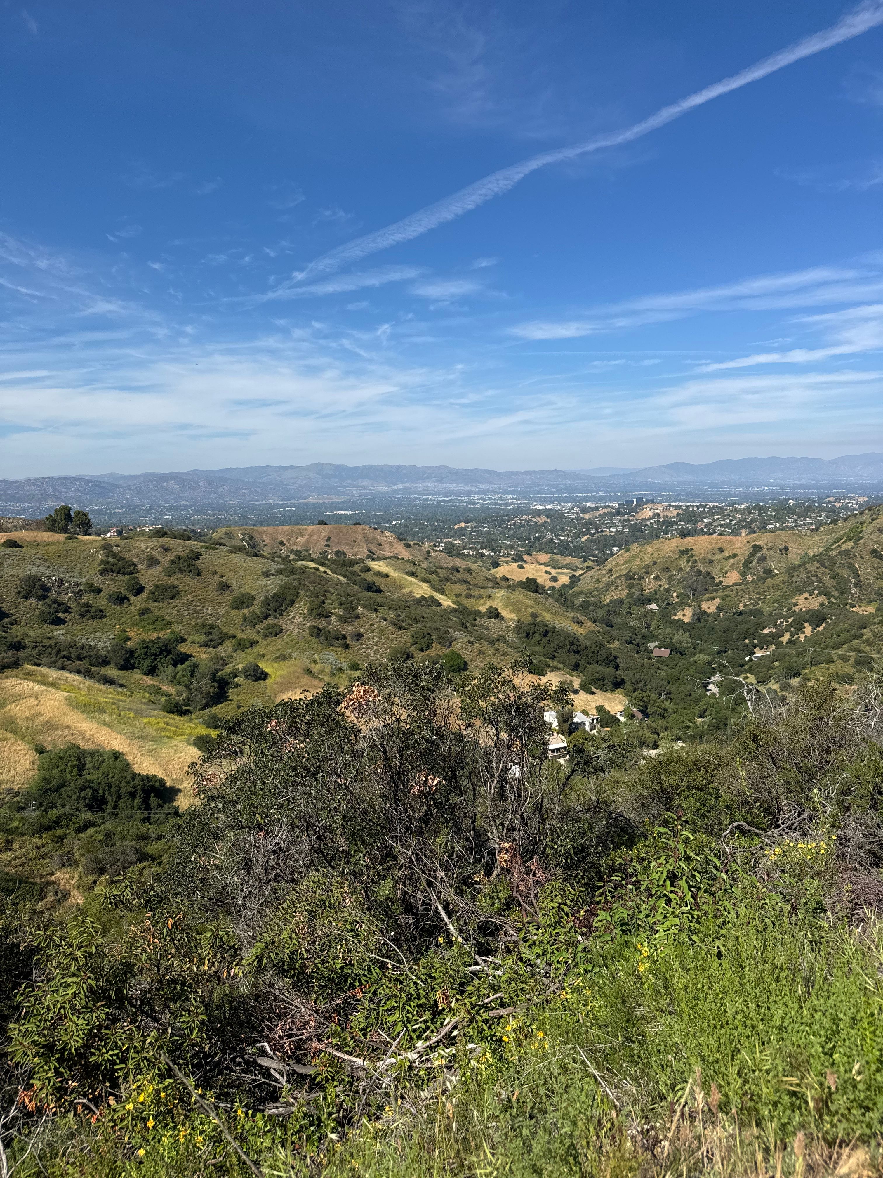 Rolling chaparral hills of the Santa Monica Mountains from the Malibu Creek trail network