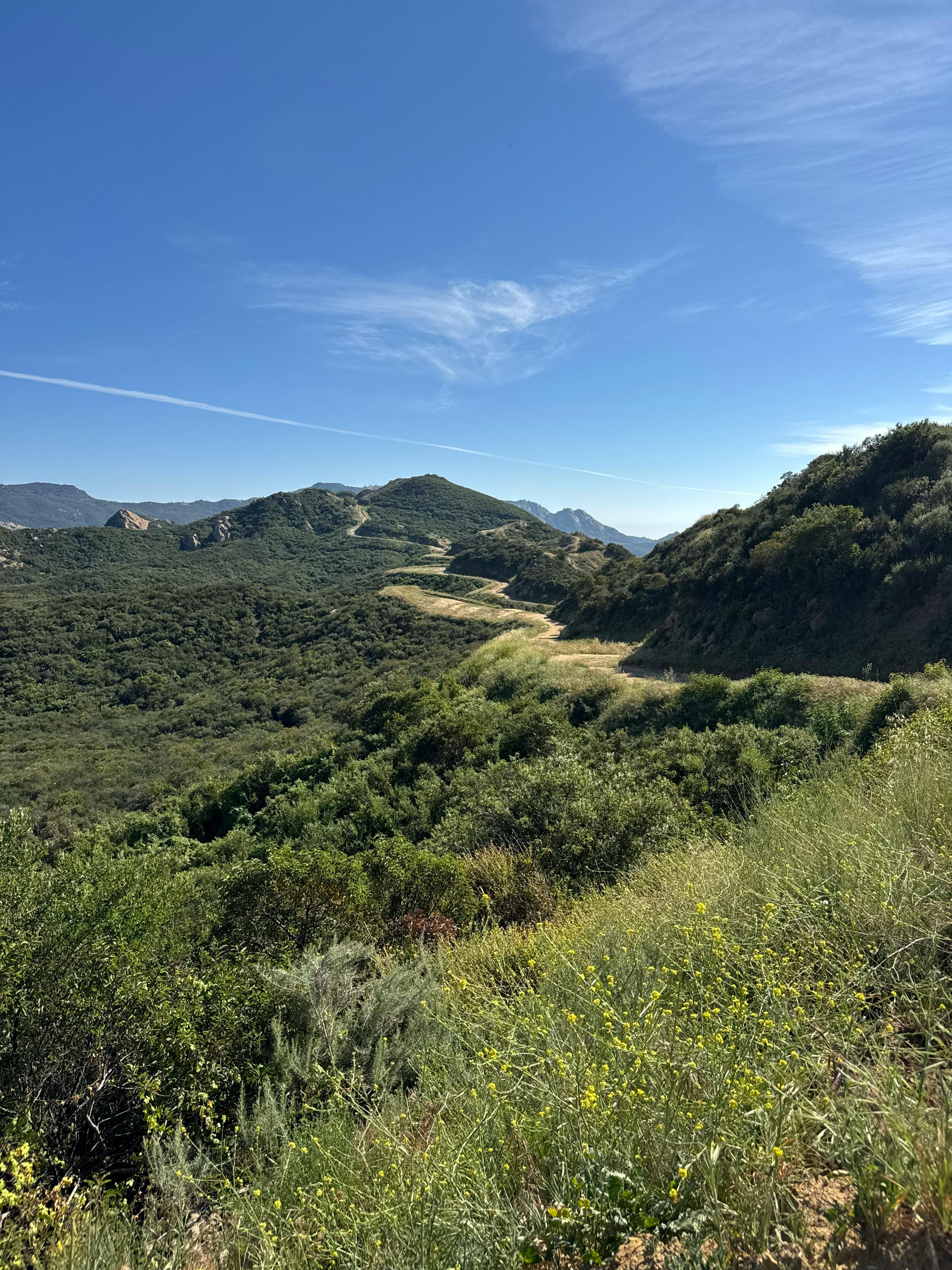 Scenic view of the Malibu mountains and chaparral, Santa Monica Mountains, California