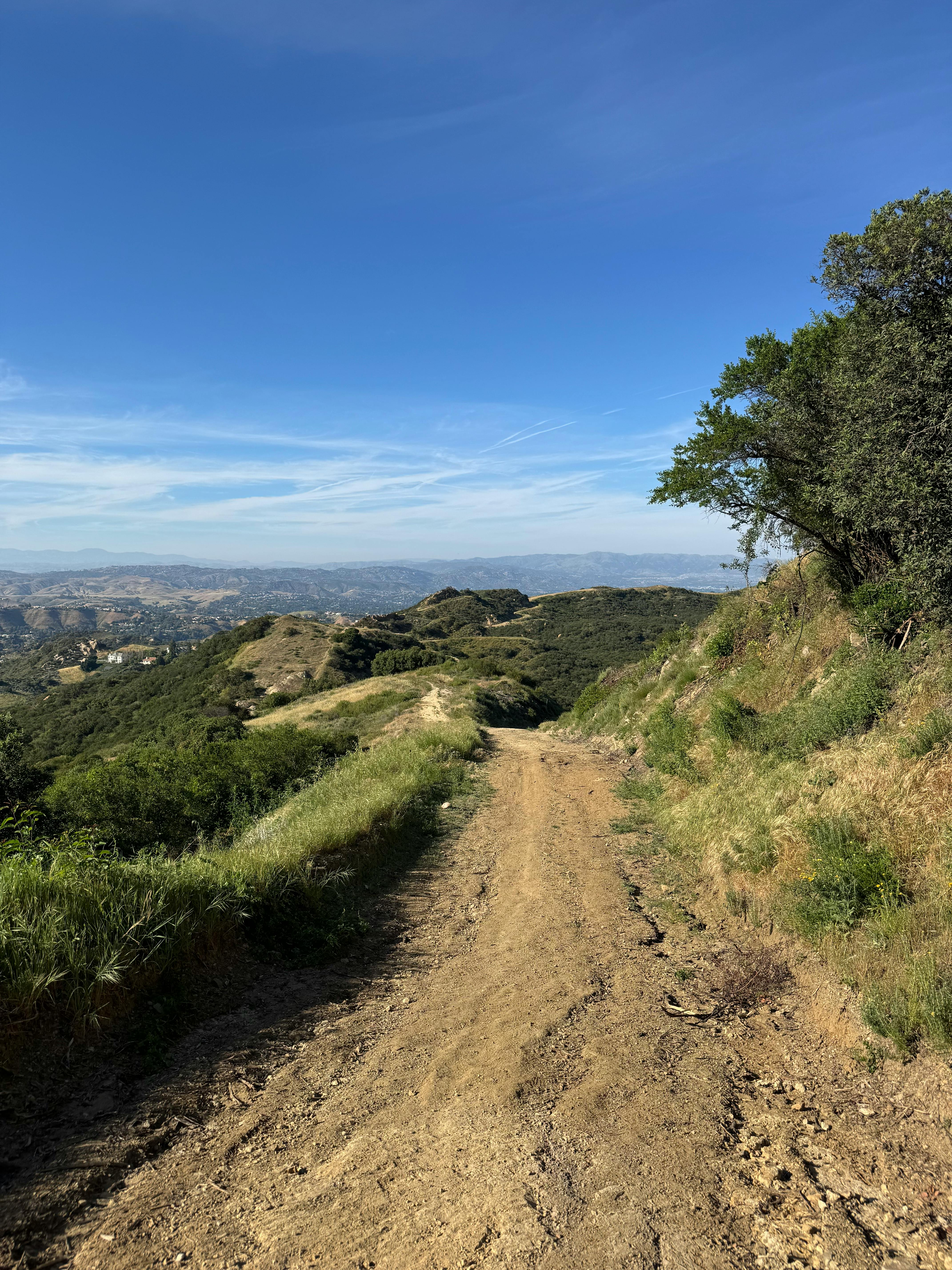 Scenic singletrack trail winding through the Santa Monica Mountains at Malibu Creek State Park