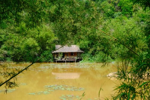 Free Charming lakeside hut surrounded by lush bamboo and serene waters in Hue, Vietnam. Stock Photo