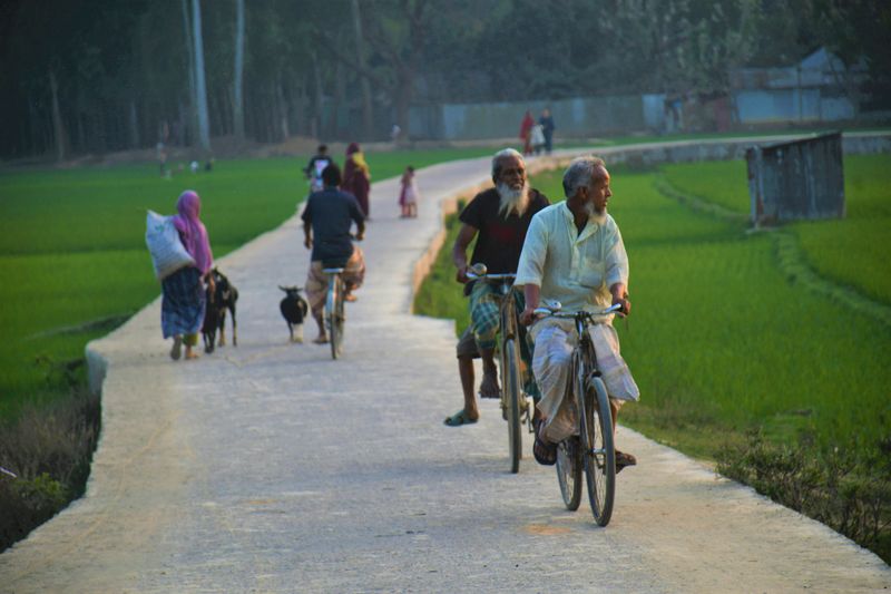 People riding bicycles and walking along a rural road in Rangpur, Bangladesh.
