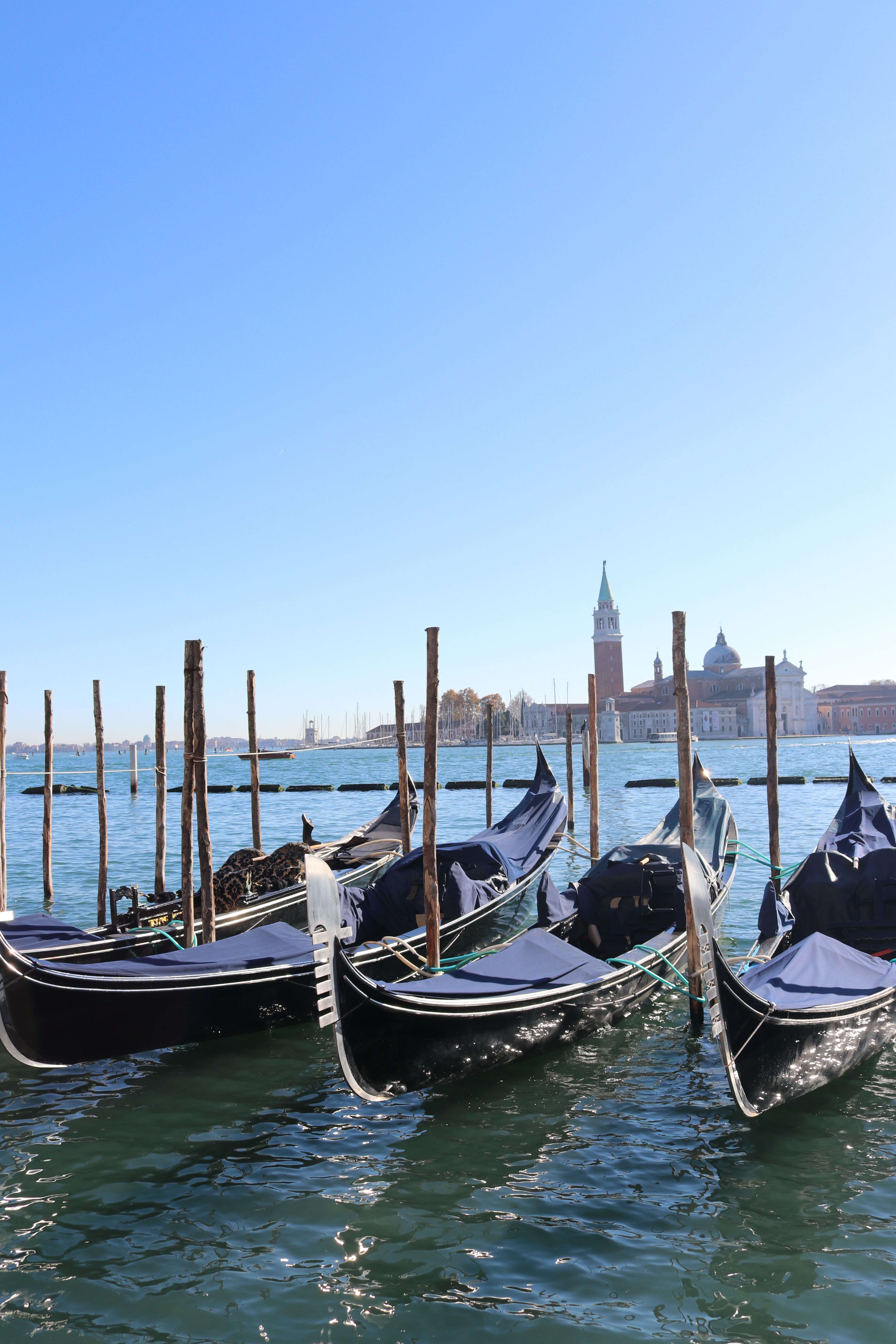 Gondolas docked in Venice offer a picturesque view of the city's historic architecture under a clear sky.