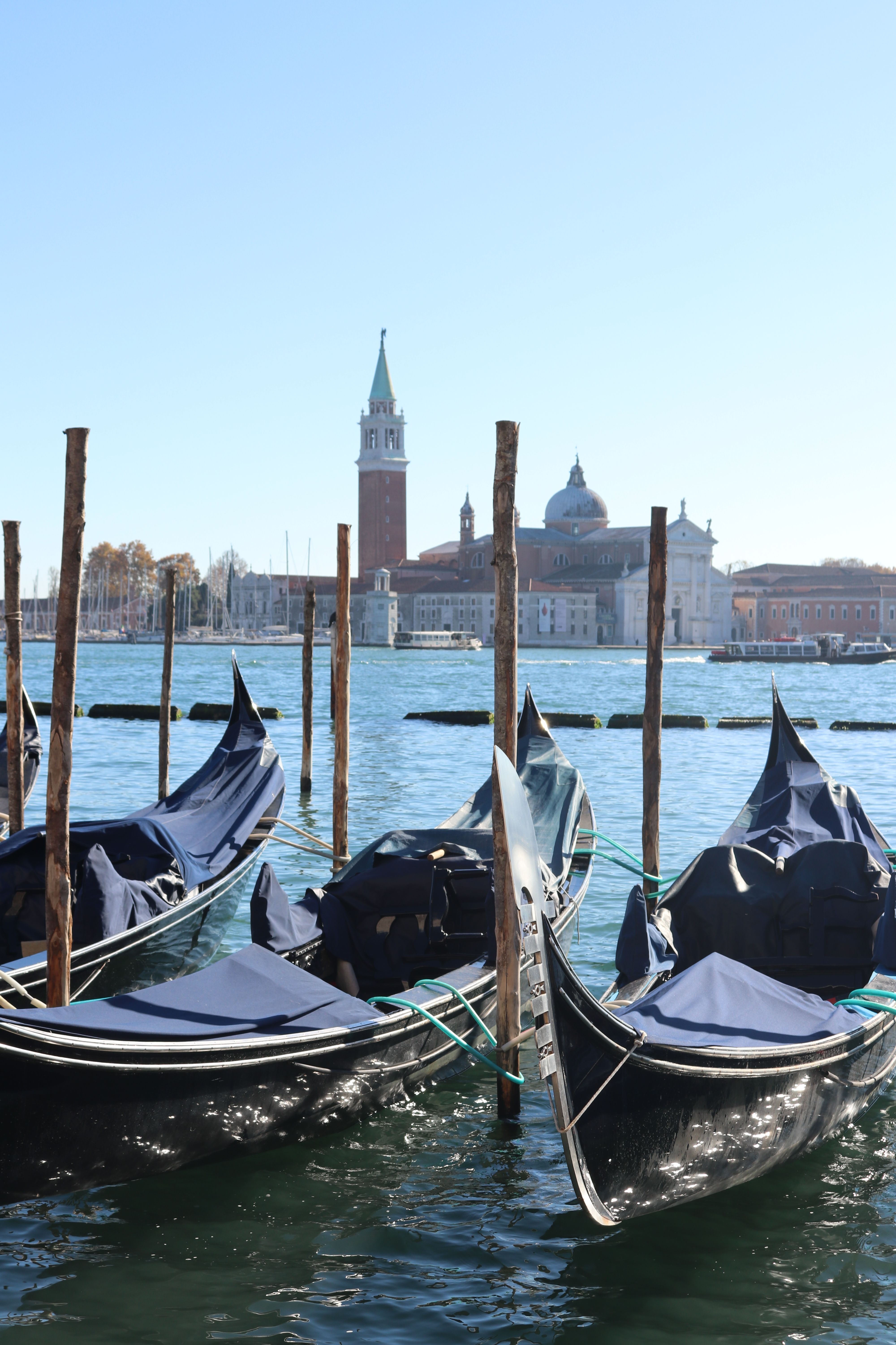 Stunning scene of gondolas in front of iconic Venetian architecture on a sunny day.