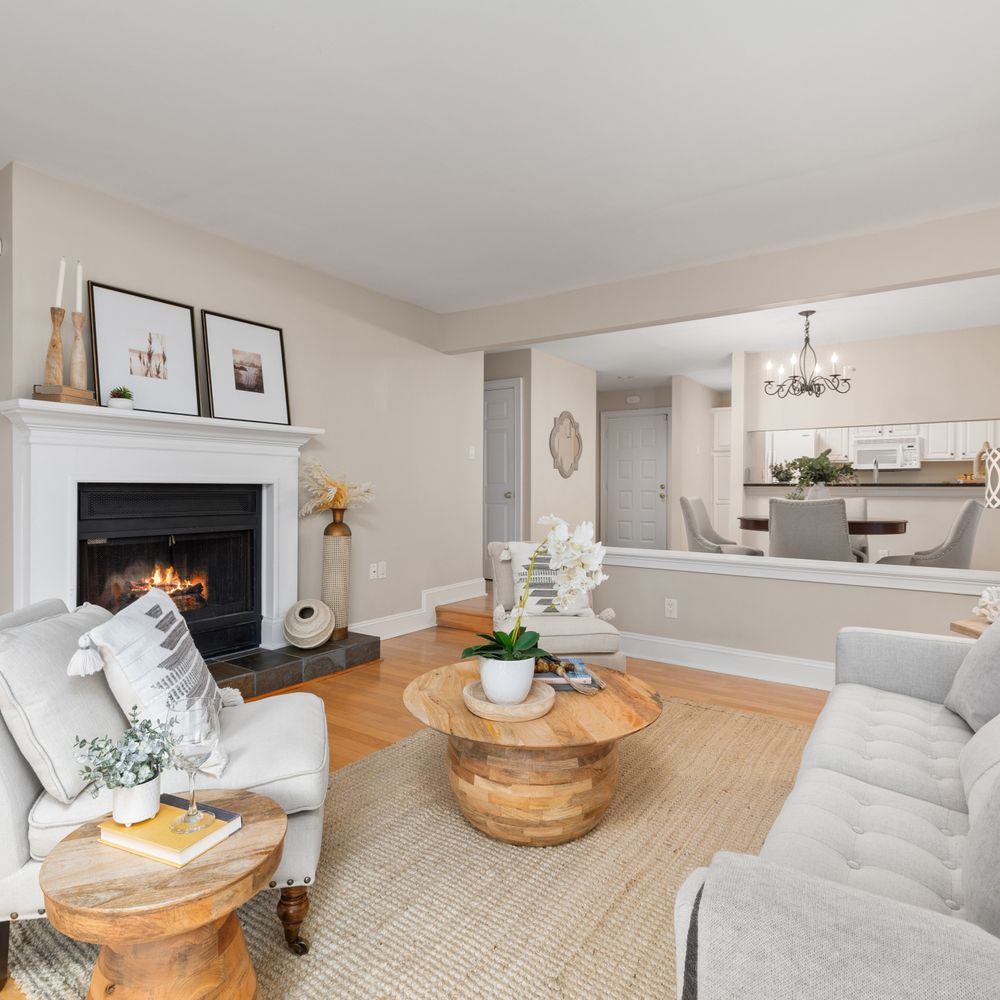 Stedham — professional movers carrying furniture on a house move