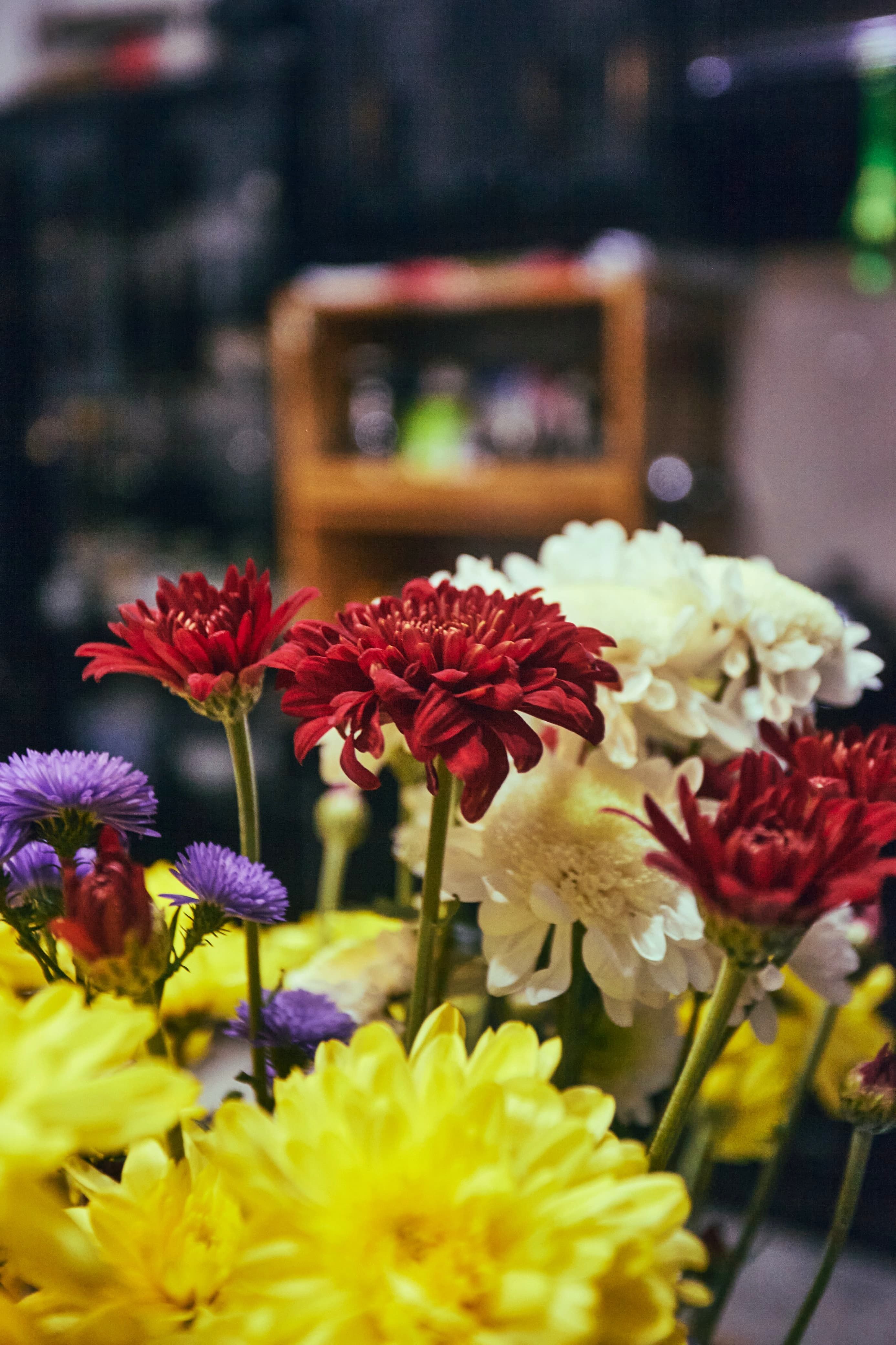 [ColoSach]-close-up-of-a-colorful-chrysanthemum-bouquet-indoors-with-a-warm-and-inviting-atmosphere.