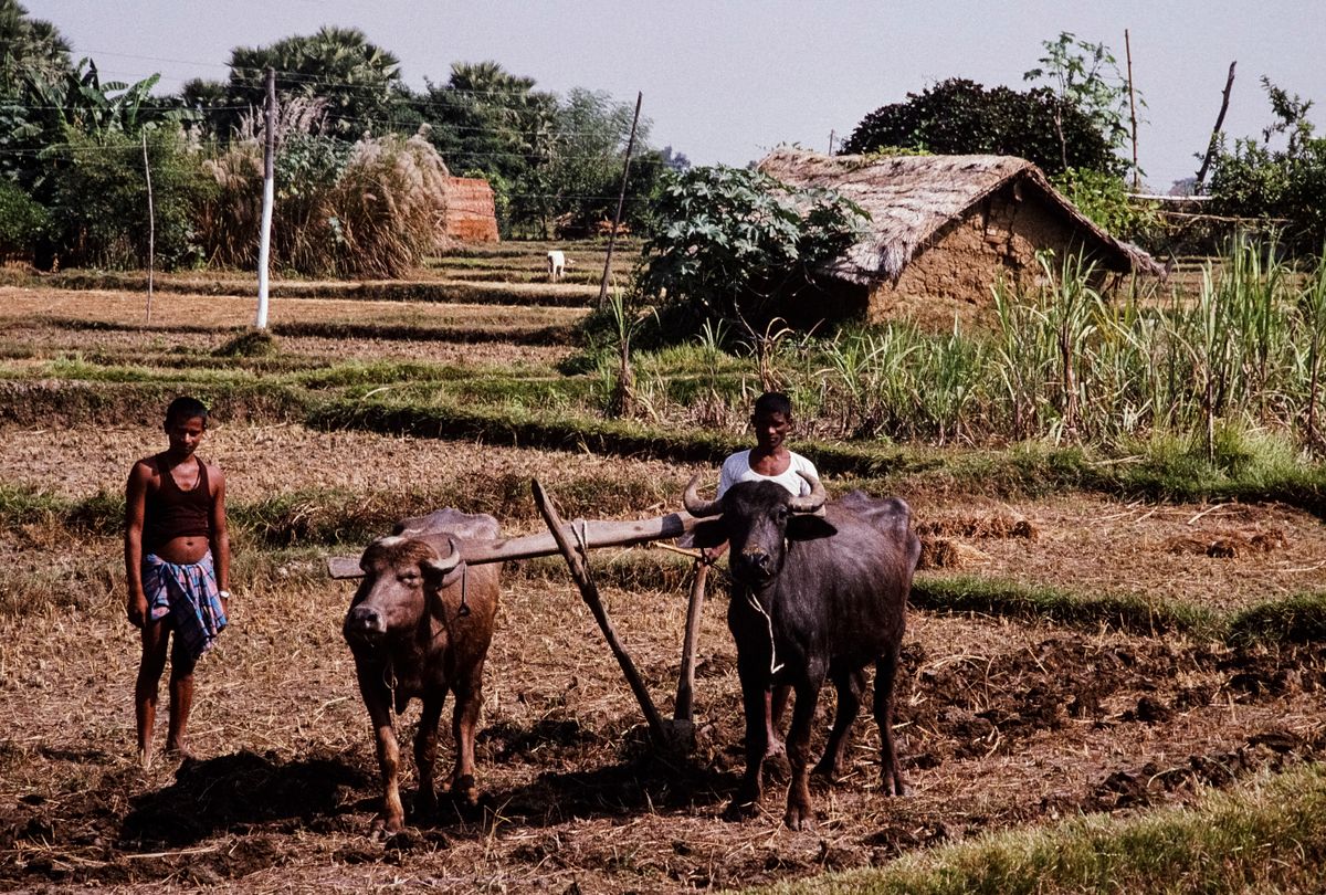 Farmer Naresh