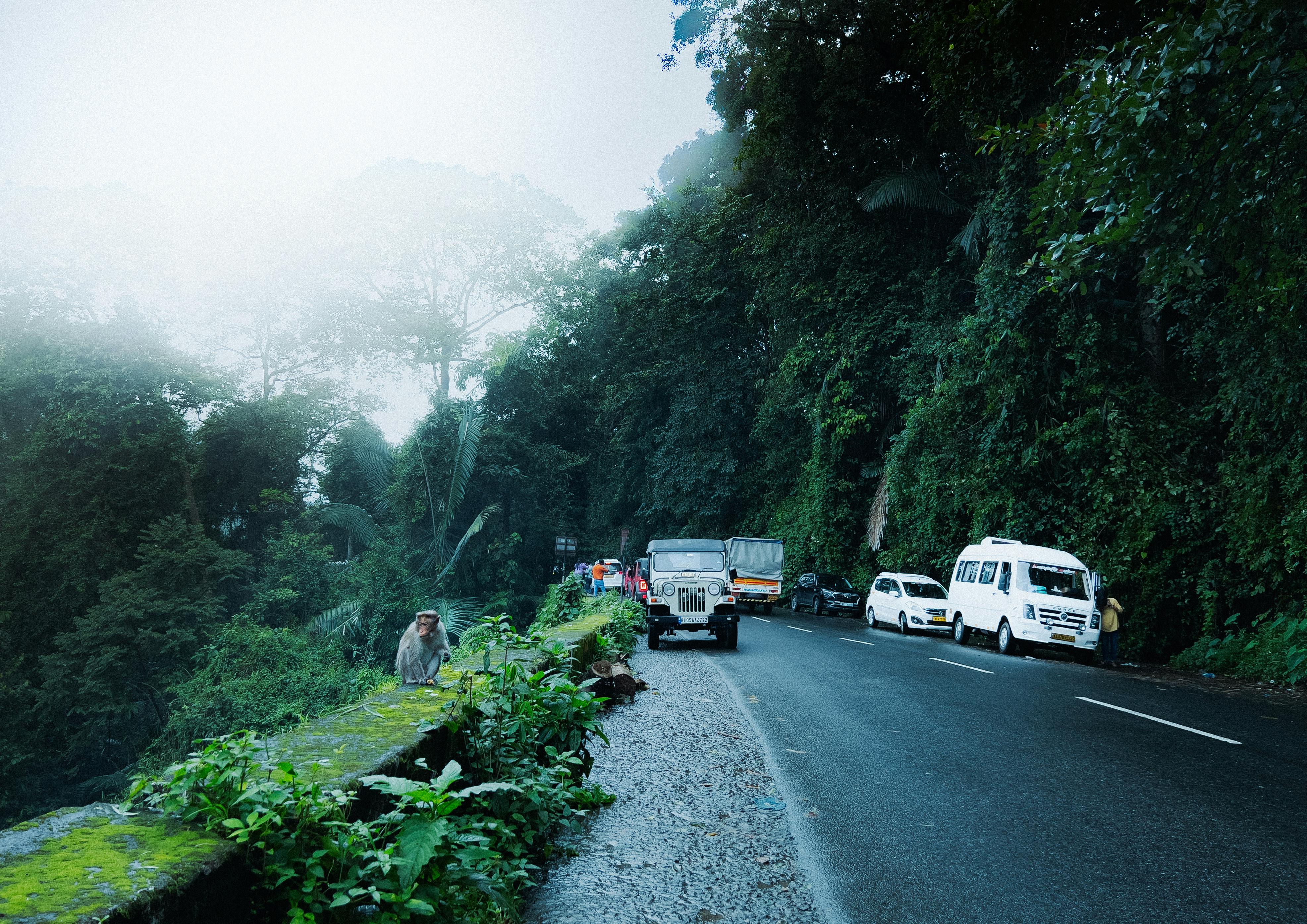 general travels majestic — Photo by Almuntadhar  Faris on Pexels
