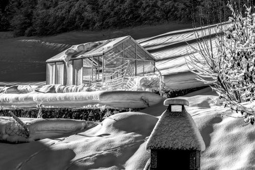 Free A serene black and white capture of a snow-covered greenhouse in a Swiss winter landscape. Stock Photo