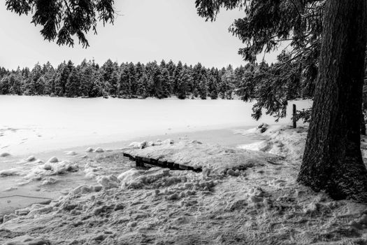 Black and white winter landscape of frozen Étang de la Gruère, Switzerland, surrounded by snow-covered trees.