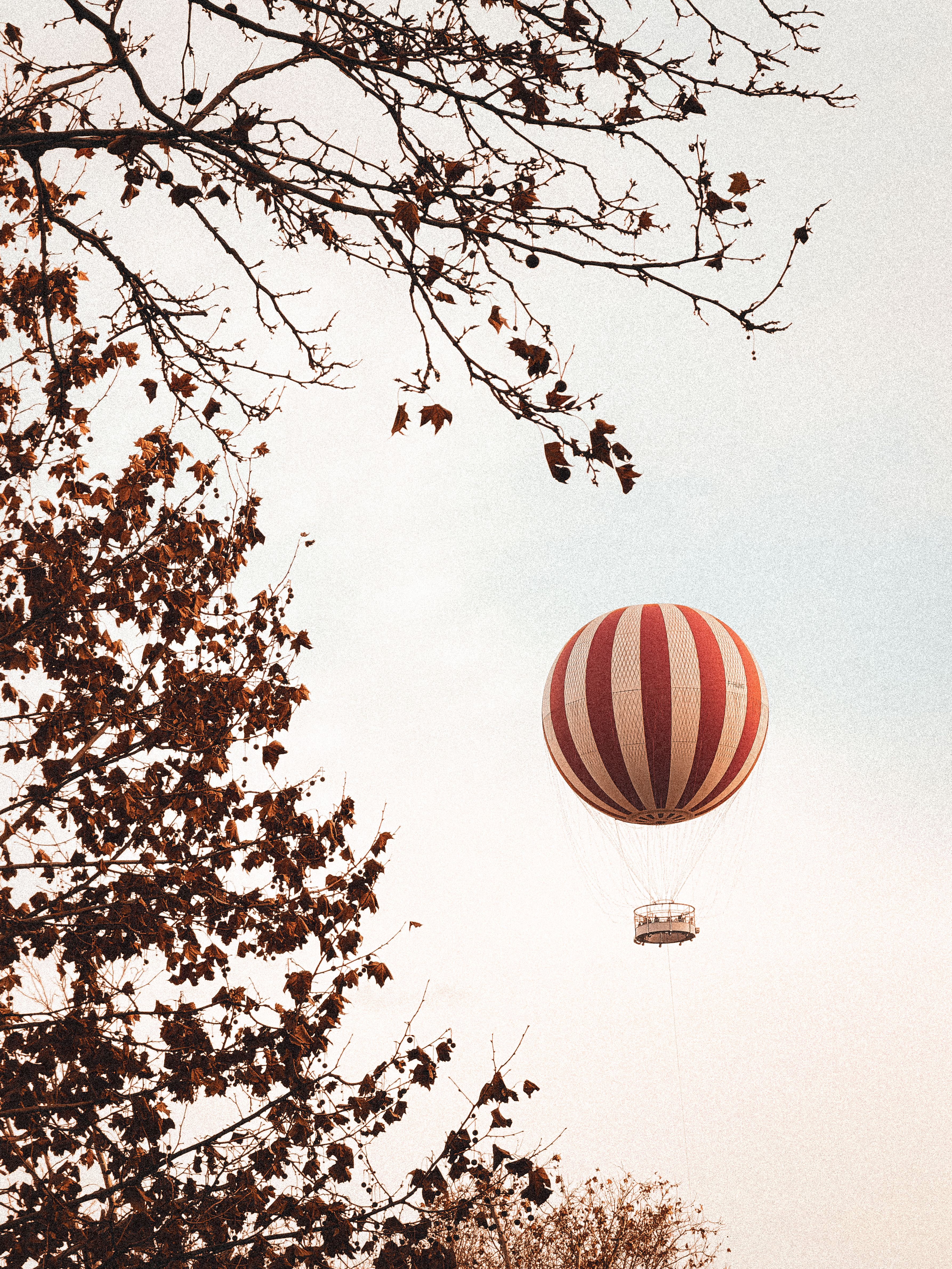 A vintage hot air balloon floats above the autumn leaves in Budapest, Hungary.