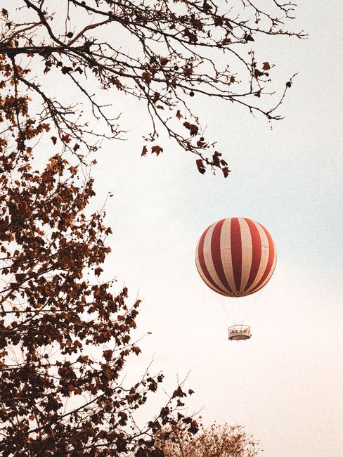 A vintage hot air balloon floats above the autumn leaves in Budapest, Hungary.