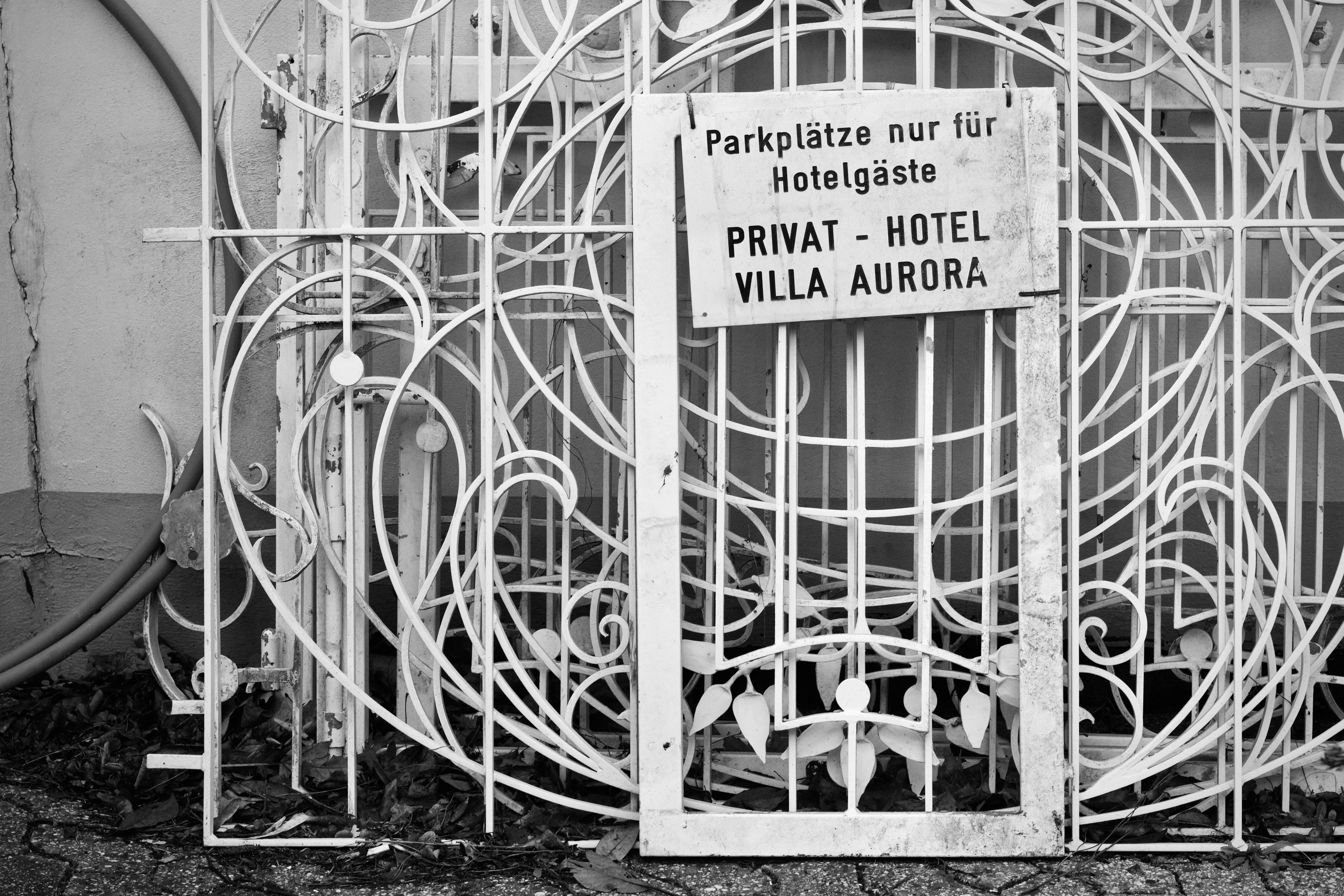 Intricate Art Nouveau gate with hotel sign 'Privat - Hotel Villa Aurora.' Monochrome style.