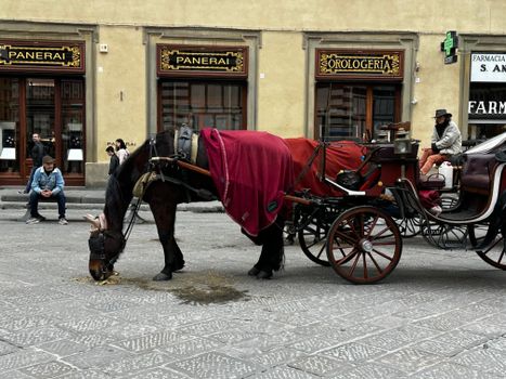 A horse-drawn carriage waits on a street in Florence, Italy, in front of historic shops.