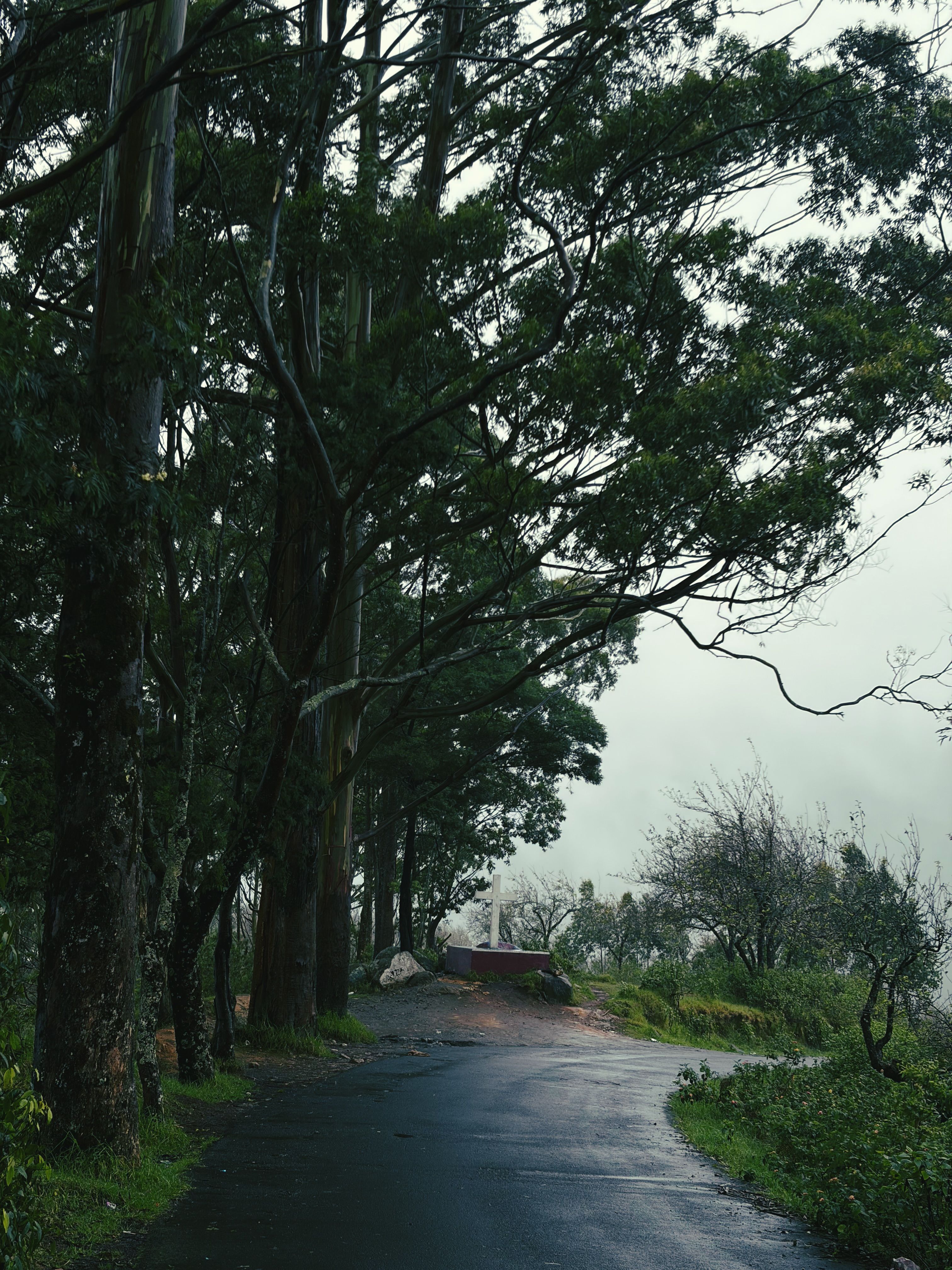 Ponmudi scenic drive