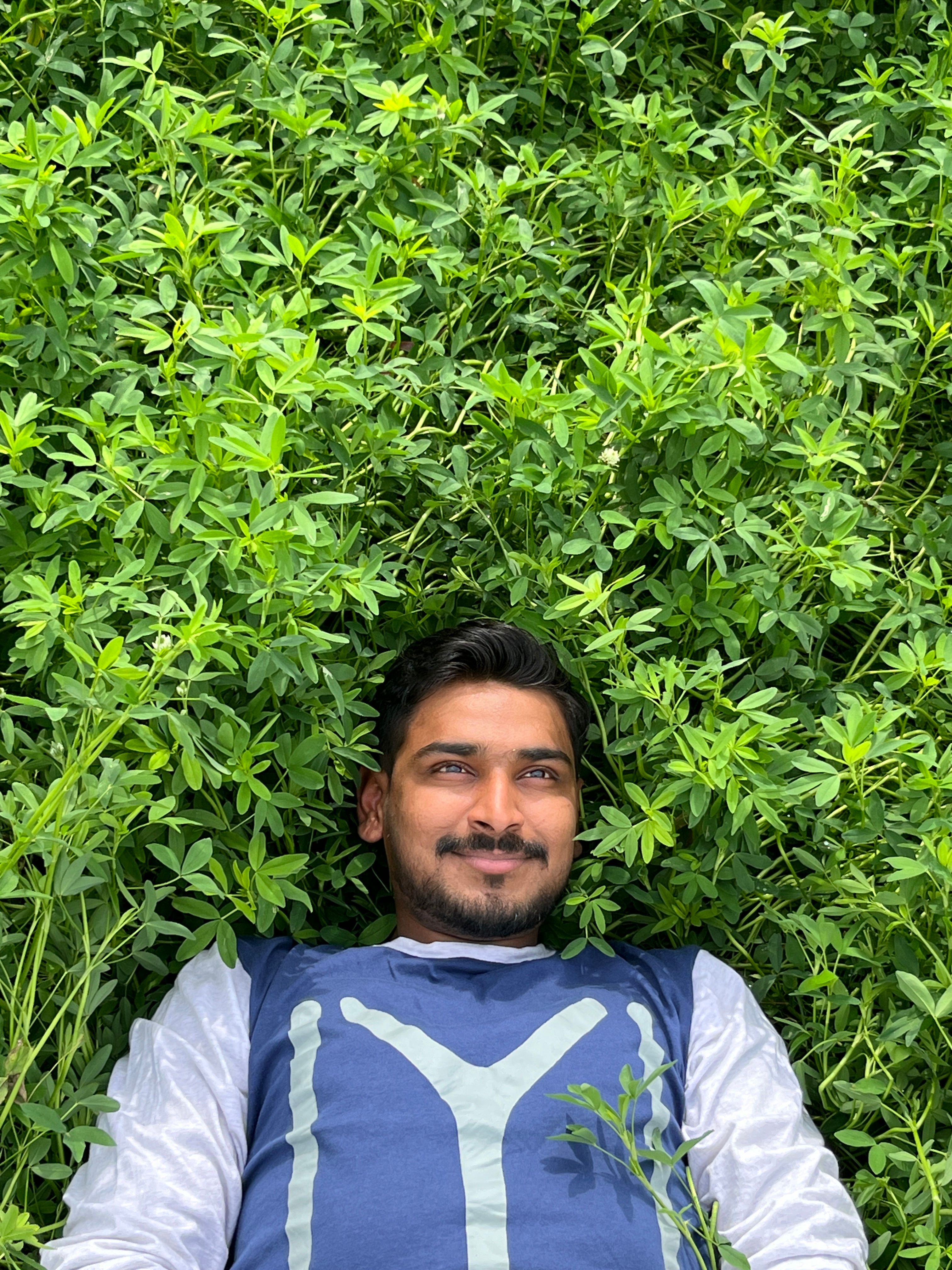 A young man lies contentedly in a vibrant green field, surrounded by nature's tranquility.