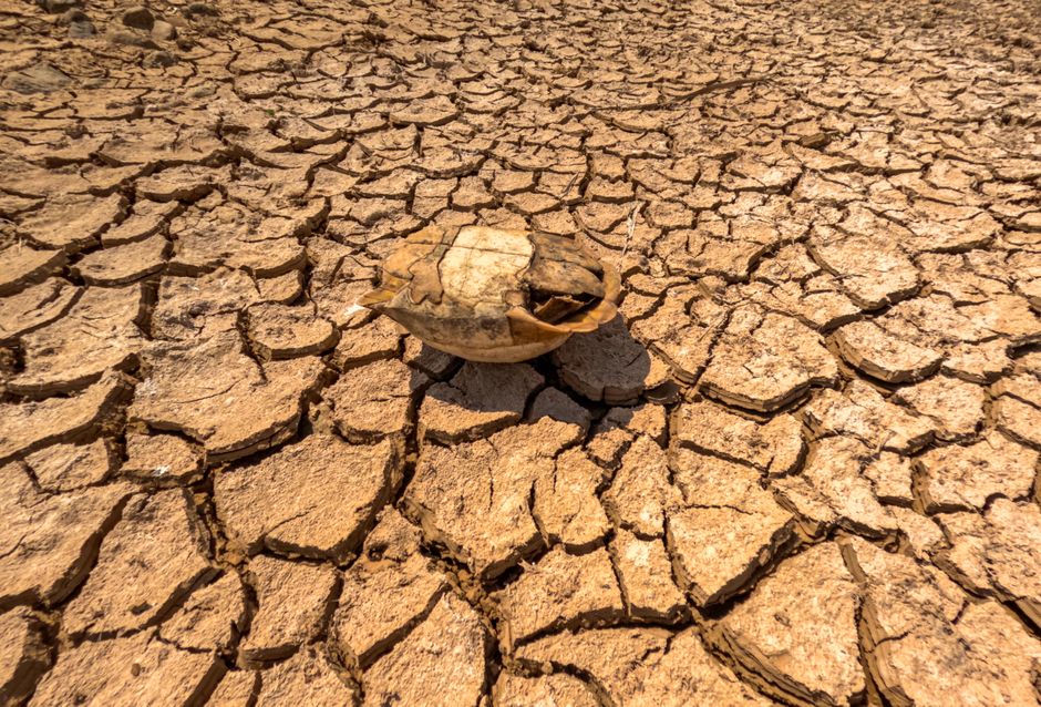 Africa Faces $20B Climate Loss, Migration Crisis Looms