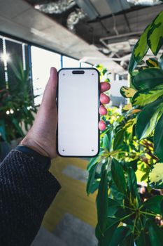 A hand holds a blank-screen smartphone surrounded by indoor plants in a modern office setting.