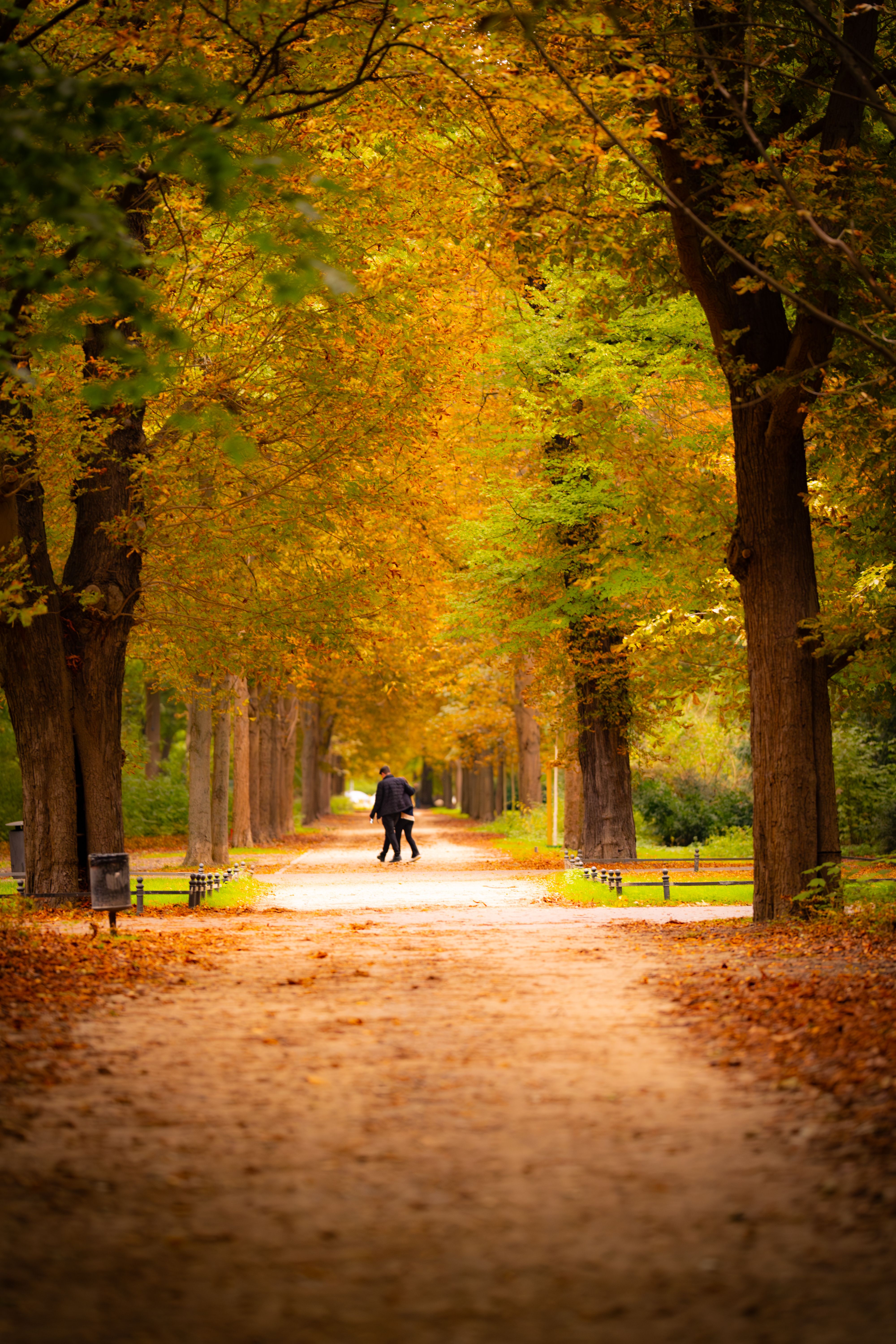 Couple walking through a serene autumn park under golden foliage.