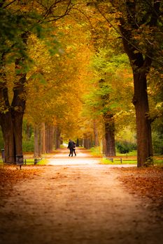Couple walking through a serene autumn park under golden foliage.
