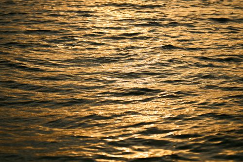Free Serene ocean waves glistening under golden sunlight, creating a calming atmosphere. Stock Photo