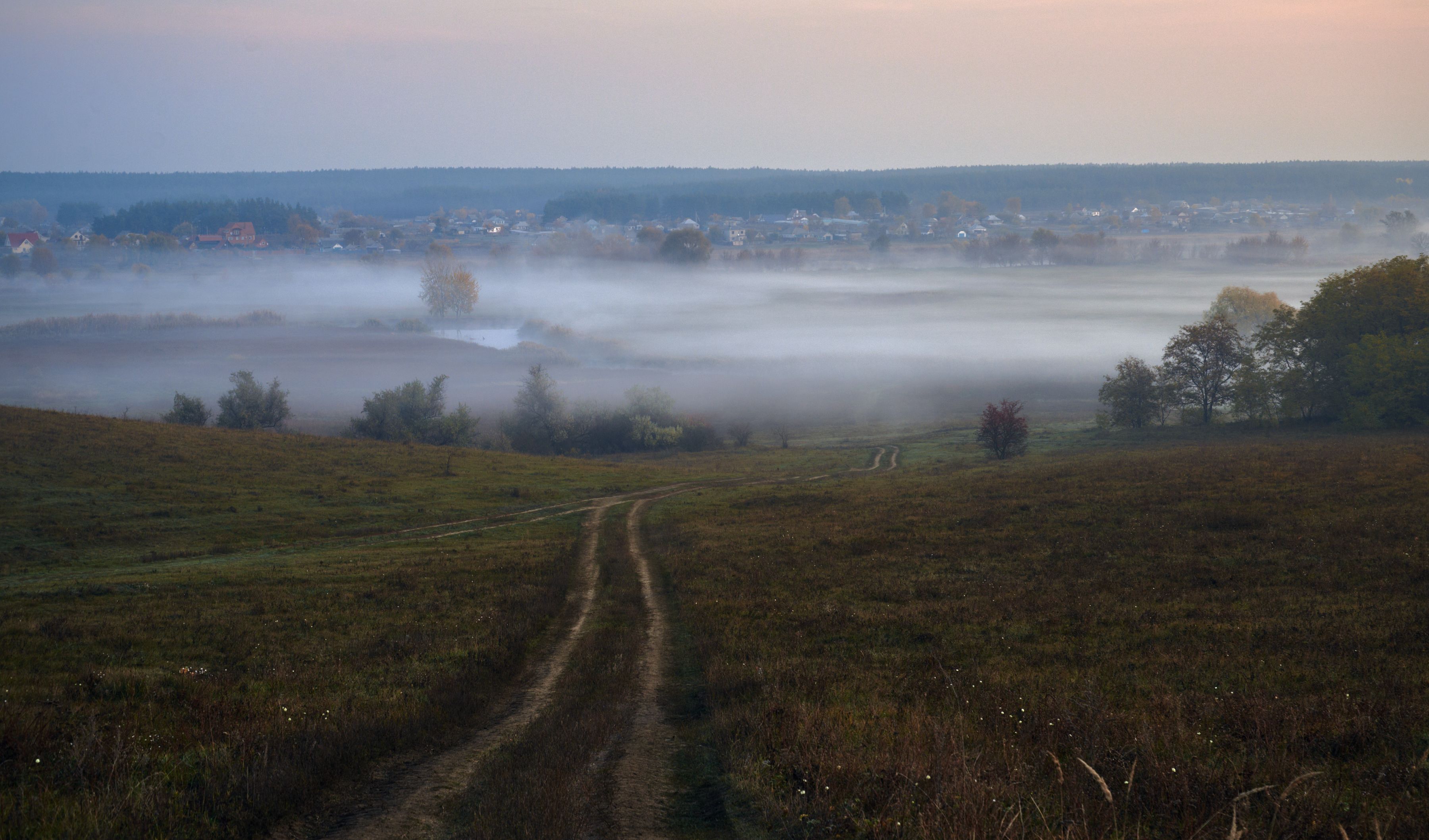 Misty Morning Landscape with Fog and Pathway · Free Stock Photo